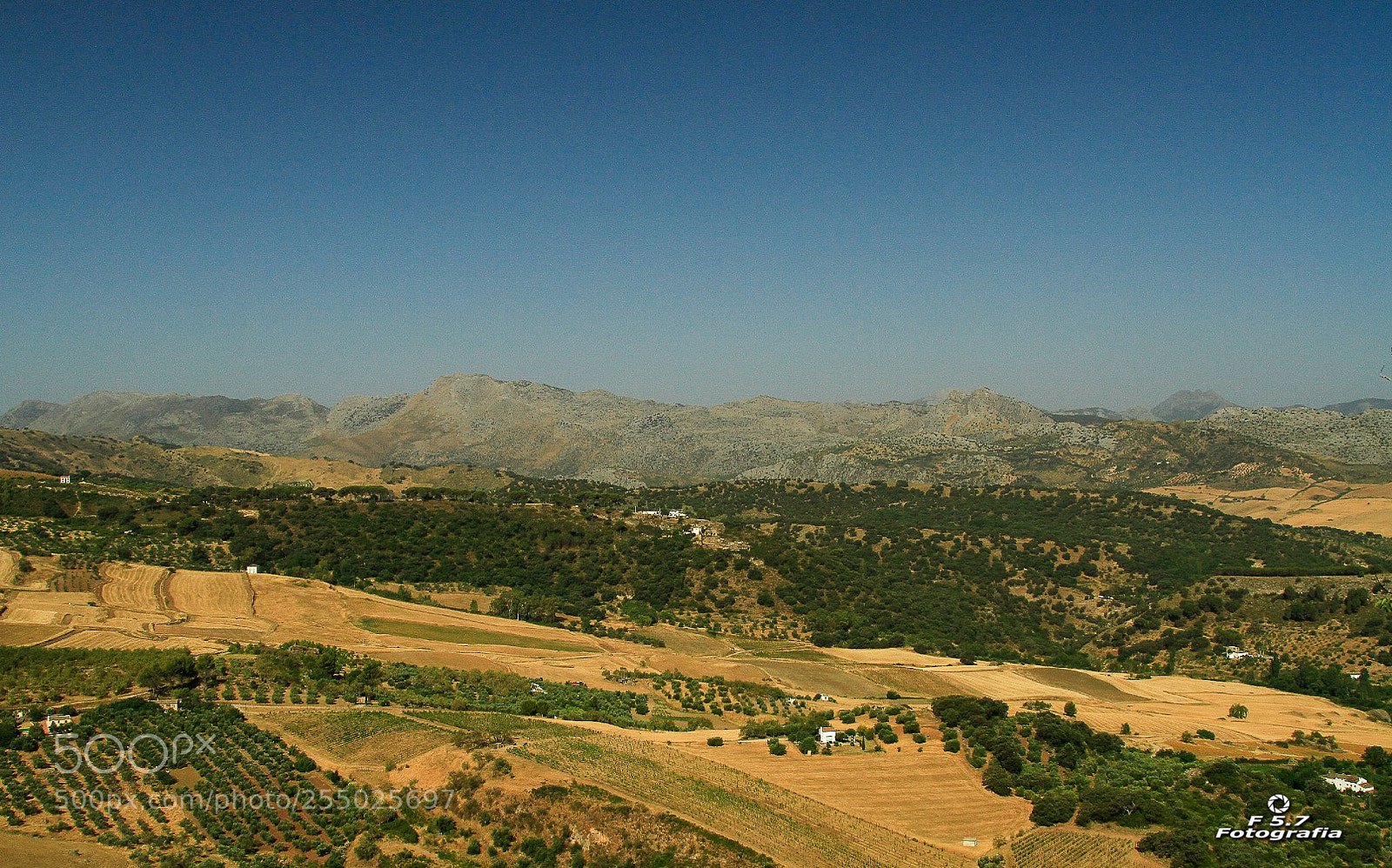 Canon EOS 7D sample photo. Colores de la naturaleza photography