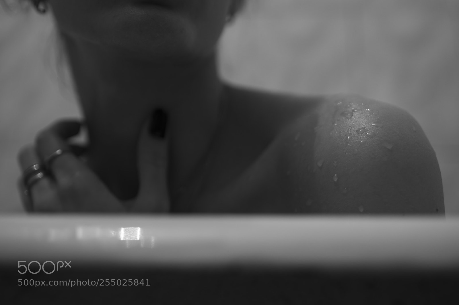 Canon EOS 5D Mark IV sample photo. 552.jpg photography