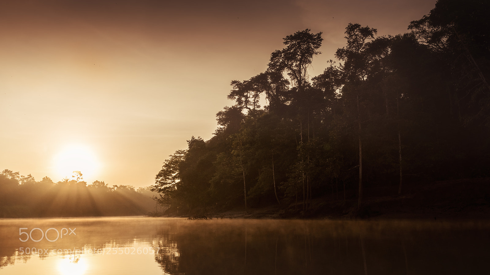 Nikon D810 sample photo. Early morning mist photography