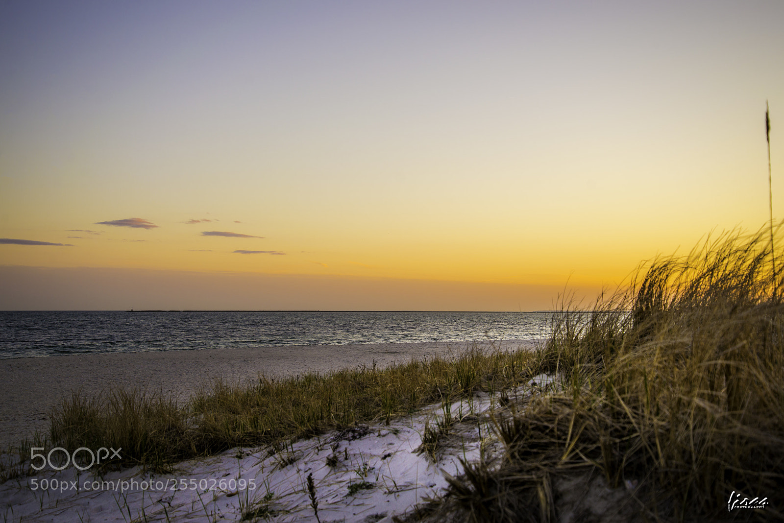 Nikon D610 sample photo. Y photography