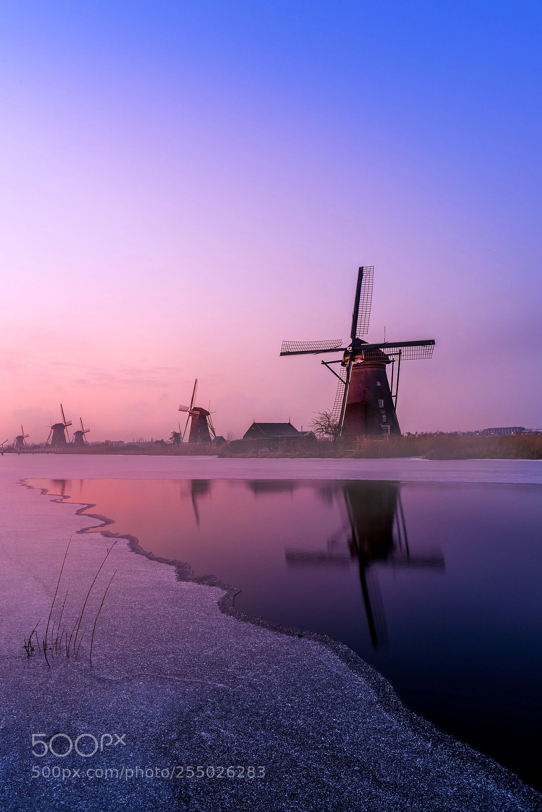 Nikon D810 sample photo. Kinderdijk morning photography