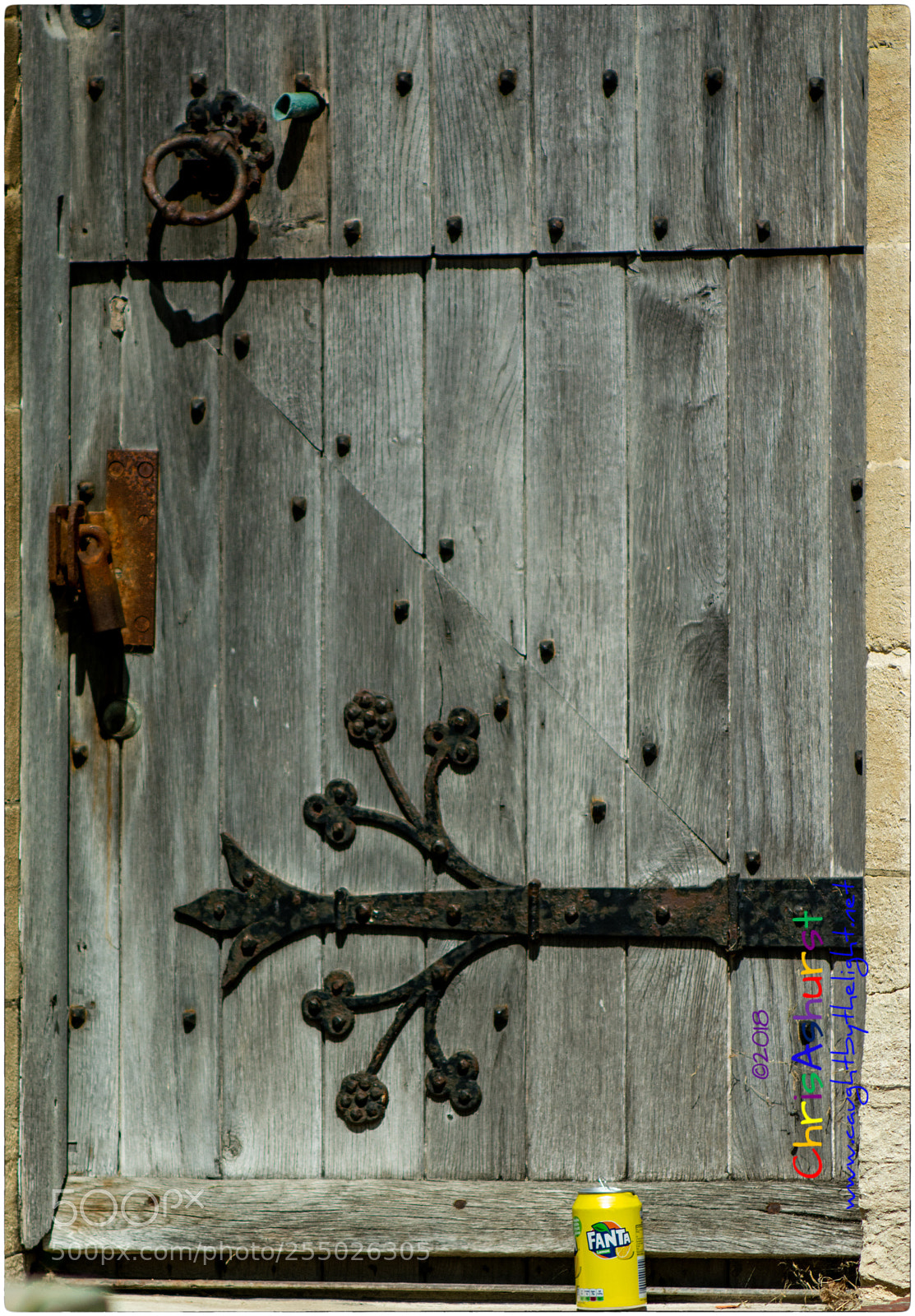 Nikon D7100 sample photo. Curious mixture, and alterations photography