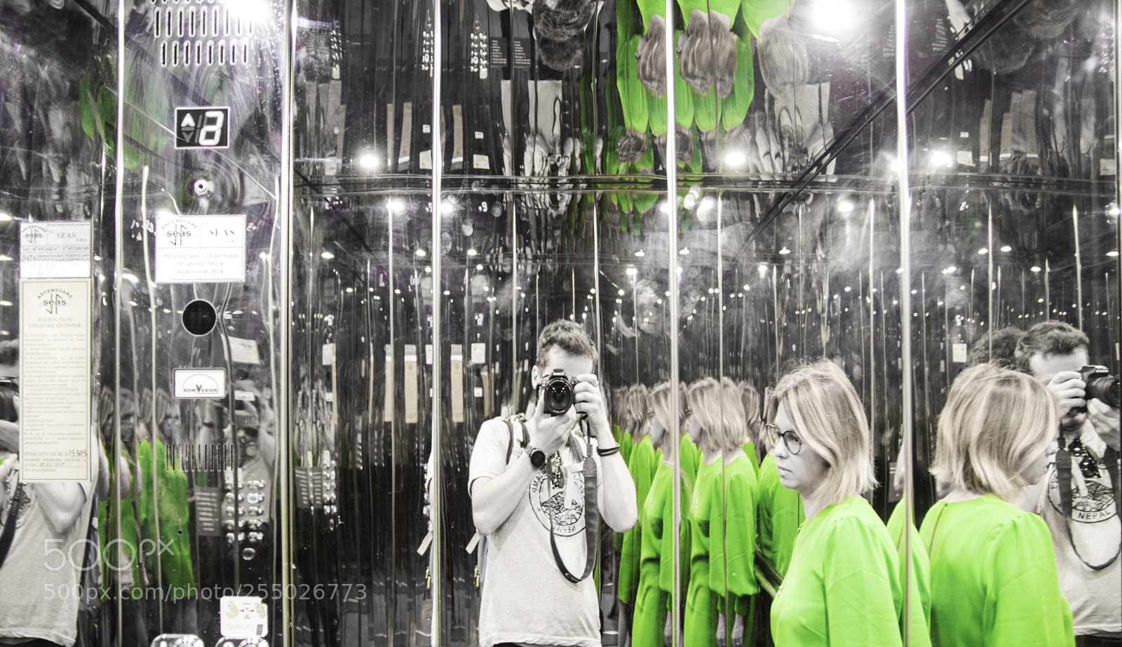 Canon EOS 80D sample photo. Green in an elevator photography