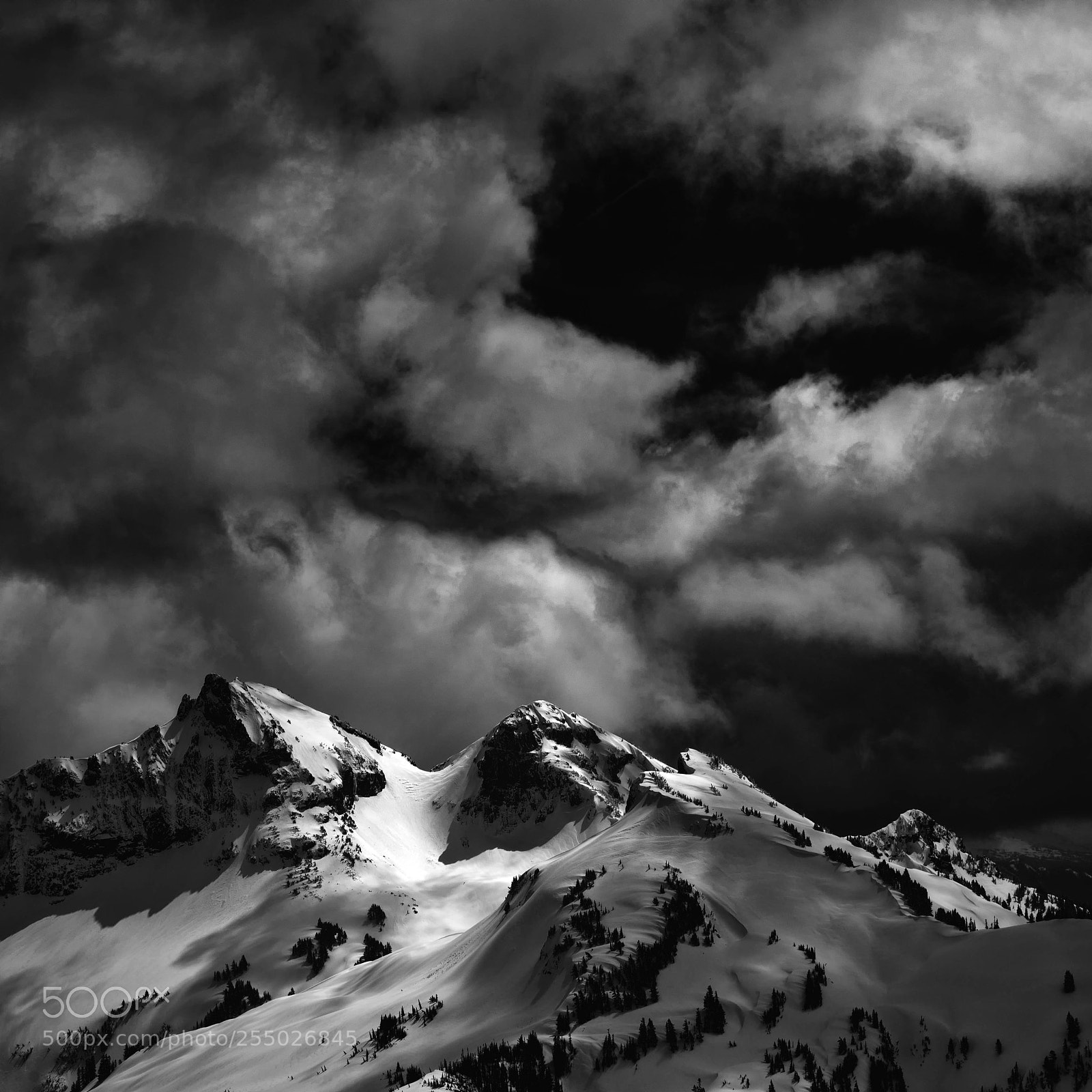 Nikon D600 sample photo. Tatoosh photography