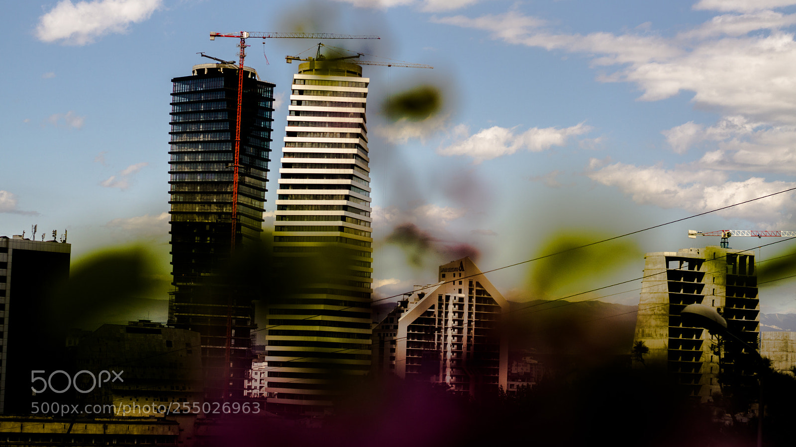 Sony a6000 sample photo. 2.jpg photography