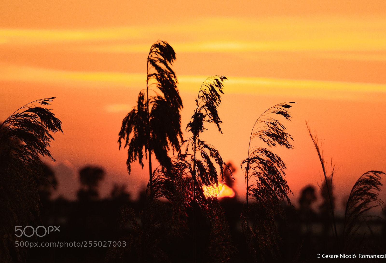 Sony a6000 sample photo. Sunset color photography
