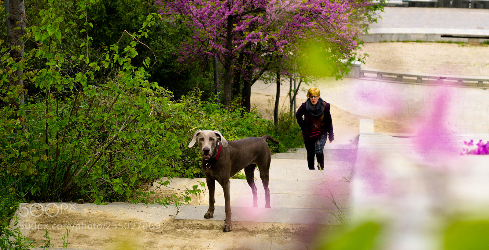 Sony a6000 sample photo. 8.jpg photography