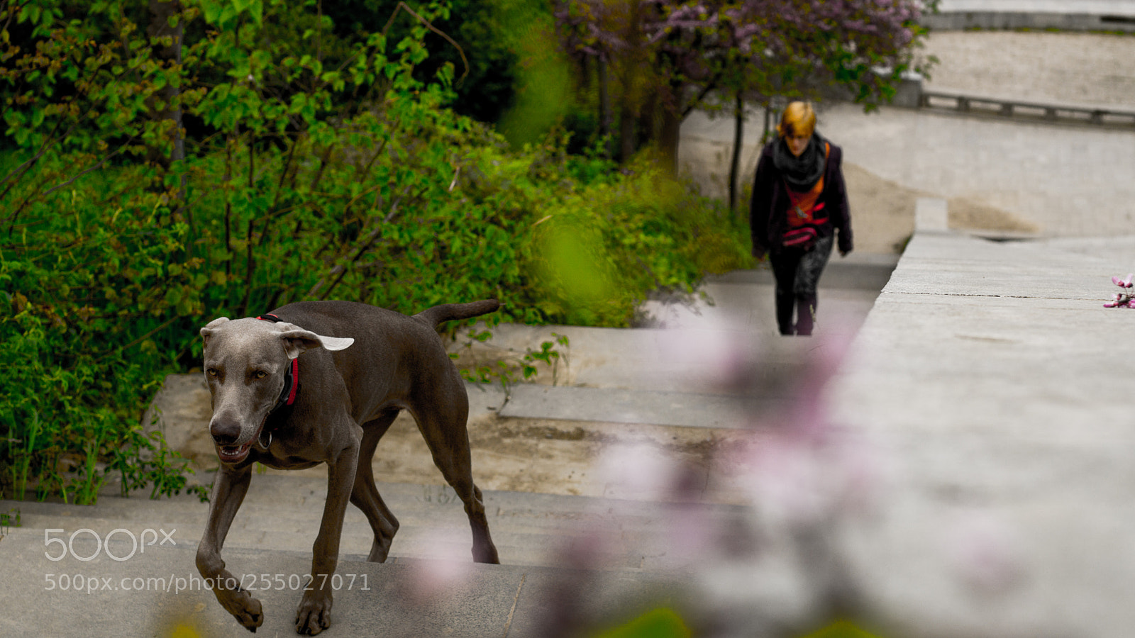 Sony a6000 sample photo. 9.jpg photography