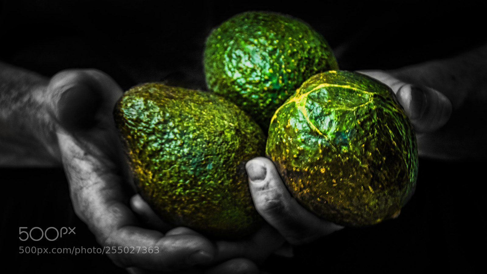 Nikon D7100 sample photo. 1552- avacados photography