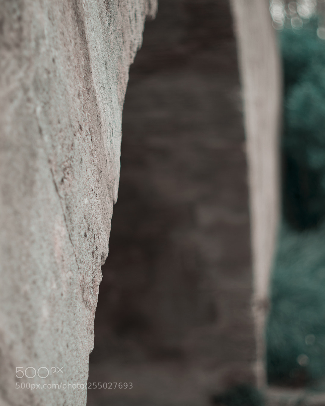 Canon EOS 80D sample photo. Canal du midi photography