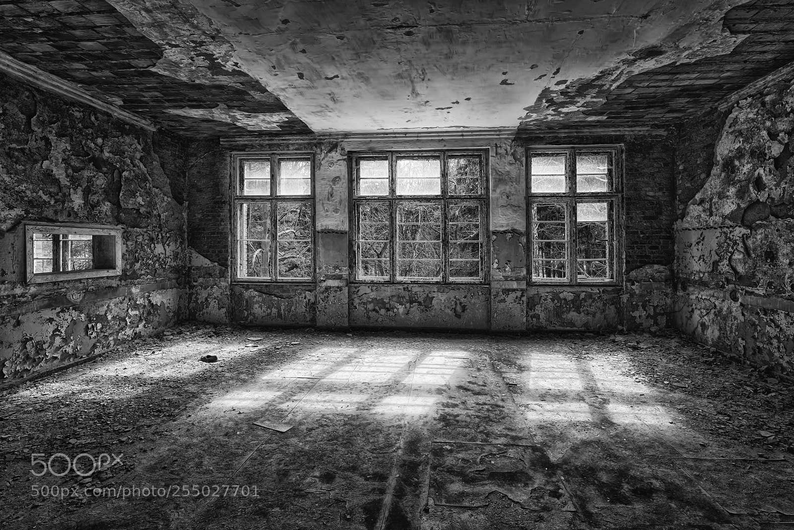 Nikon D810 sample photo. Crosses photography