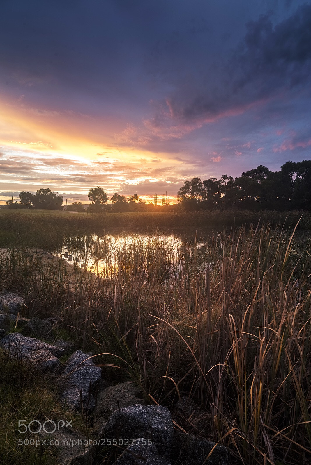 Nikon D810 sample photo. Lake in sunset  photography