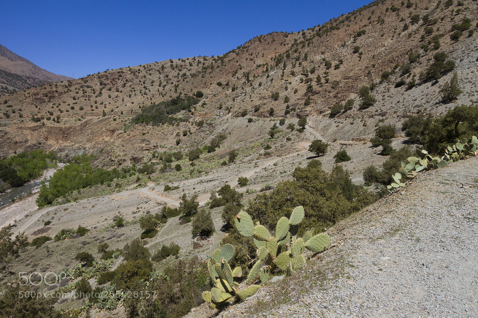 Canon EOS 7D sample photo. 2018-3751.jpg photography