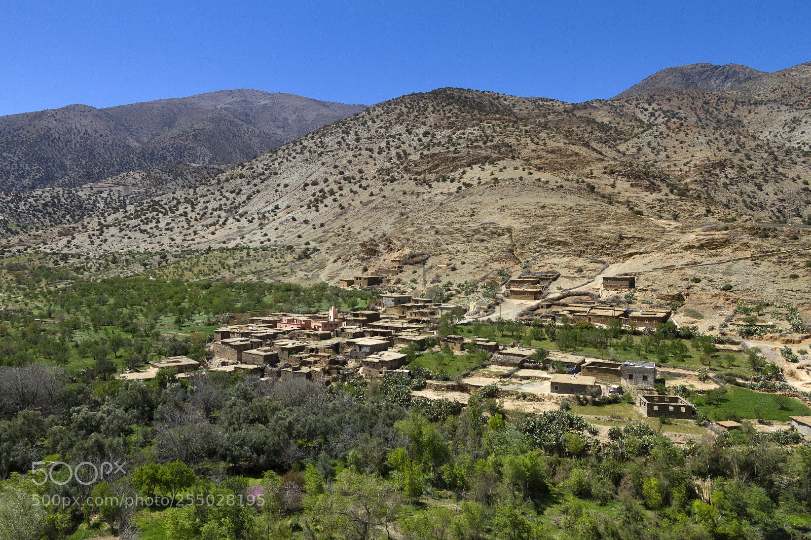 Canon EOS 7D sample photo. 2018-3753.jpg photography