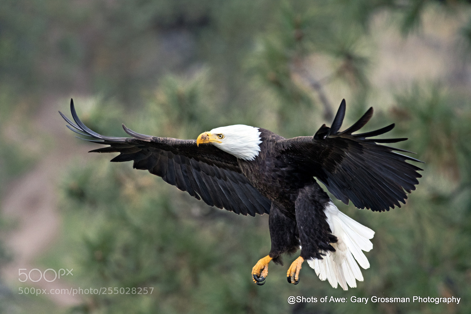 Canon EOS 7D Mark II sample photo. Final approach photography