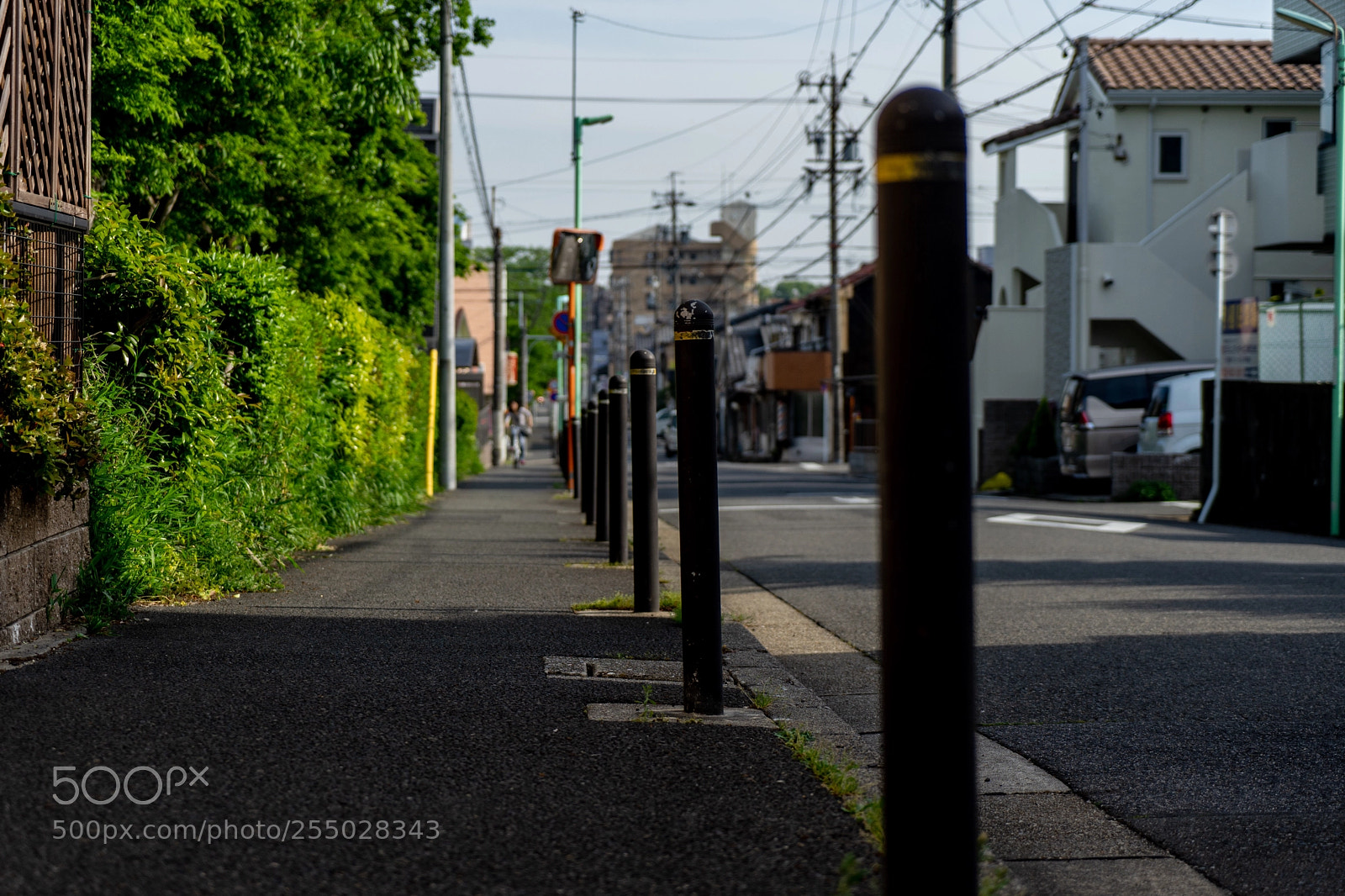 Sony a7 II sample photo. Pole photography