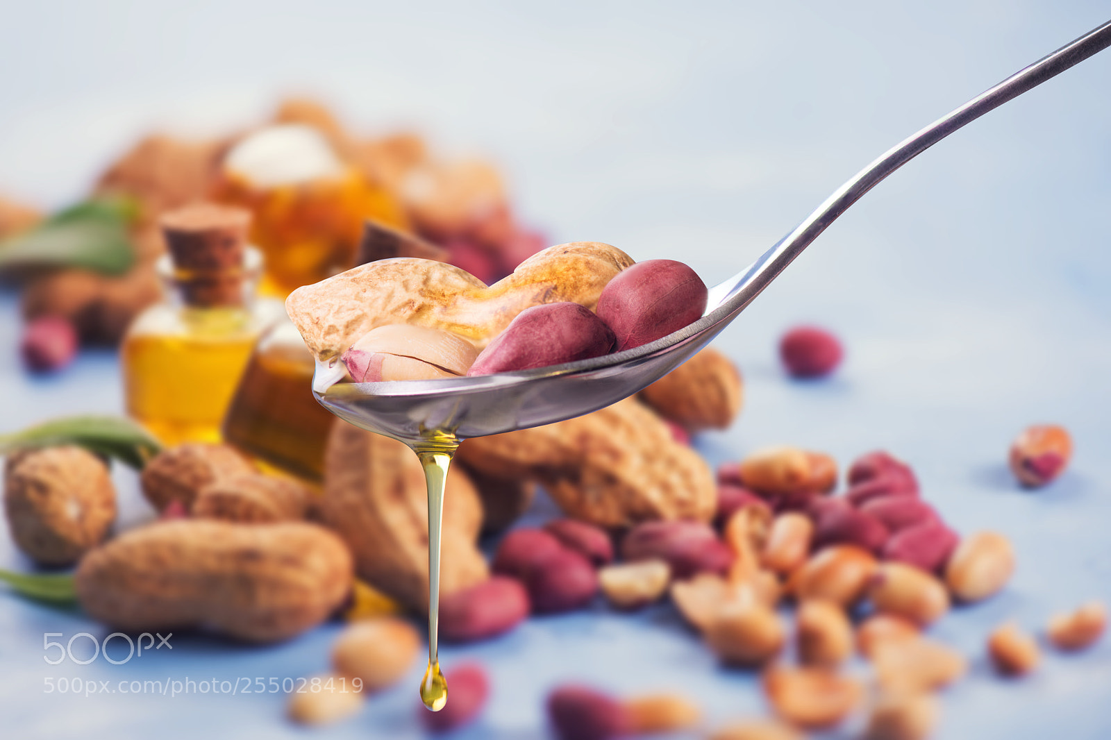Nikon D810 sample photo. Natural peanut oil photography
