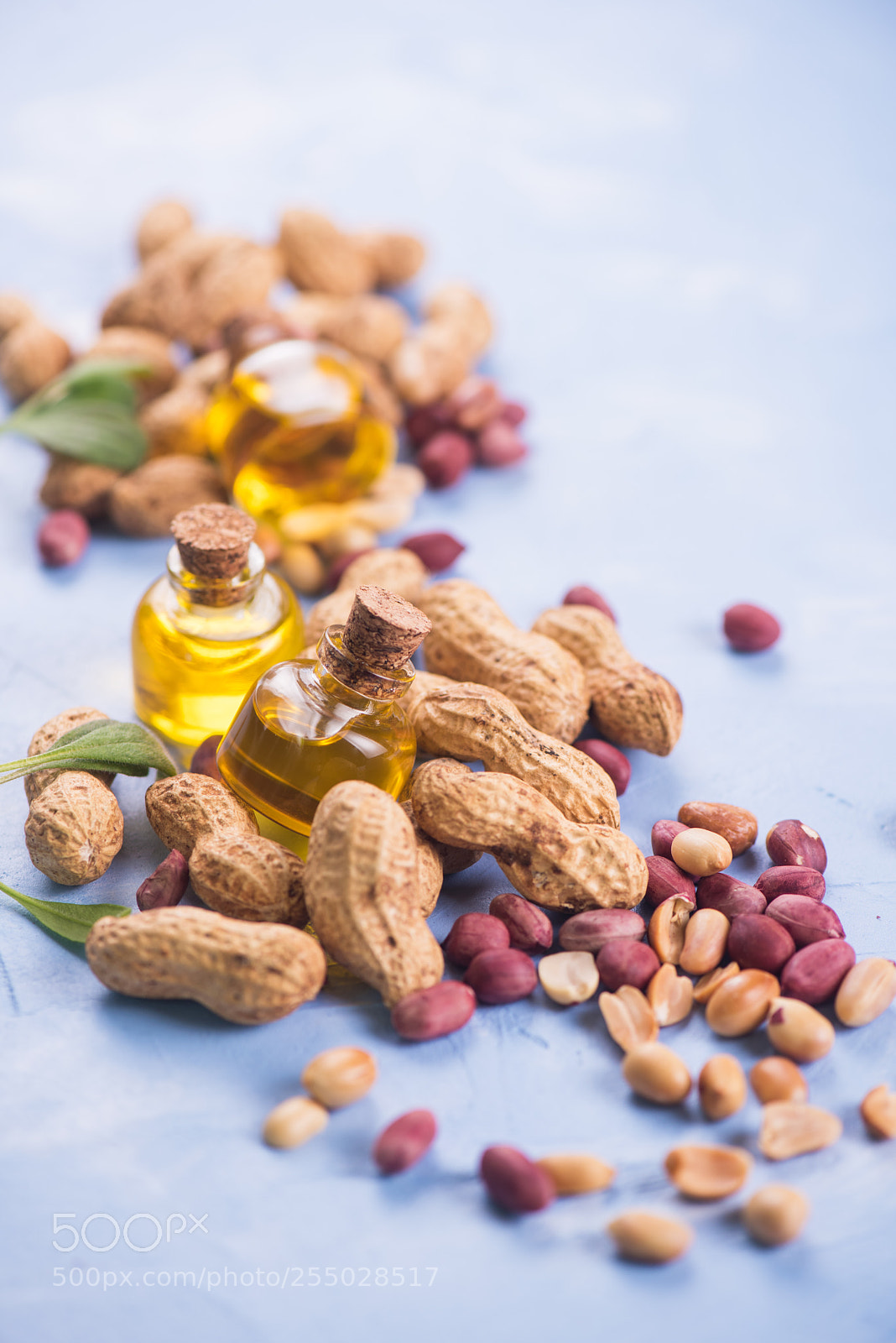 Nikon D810 sample photo. Natural peanut with oil photography
