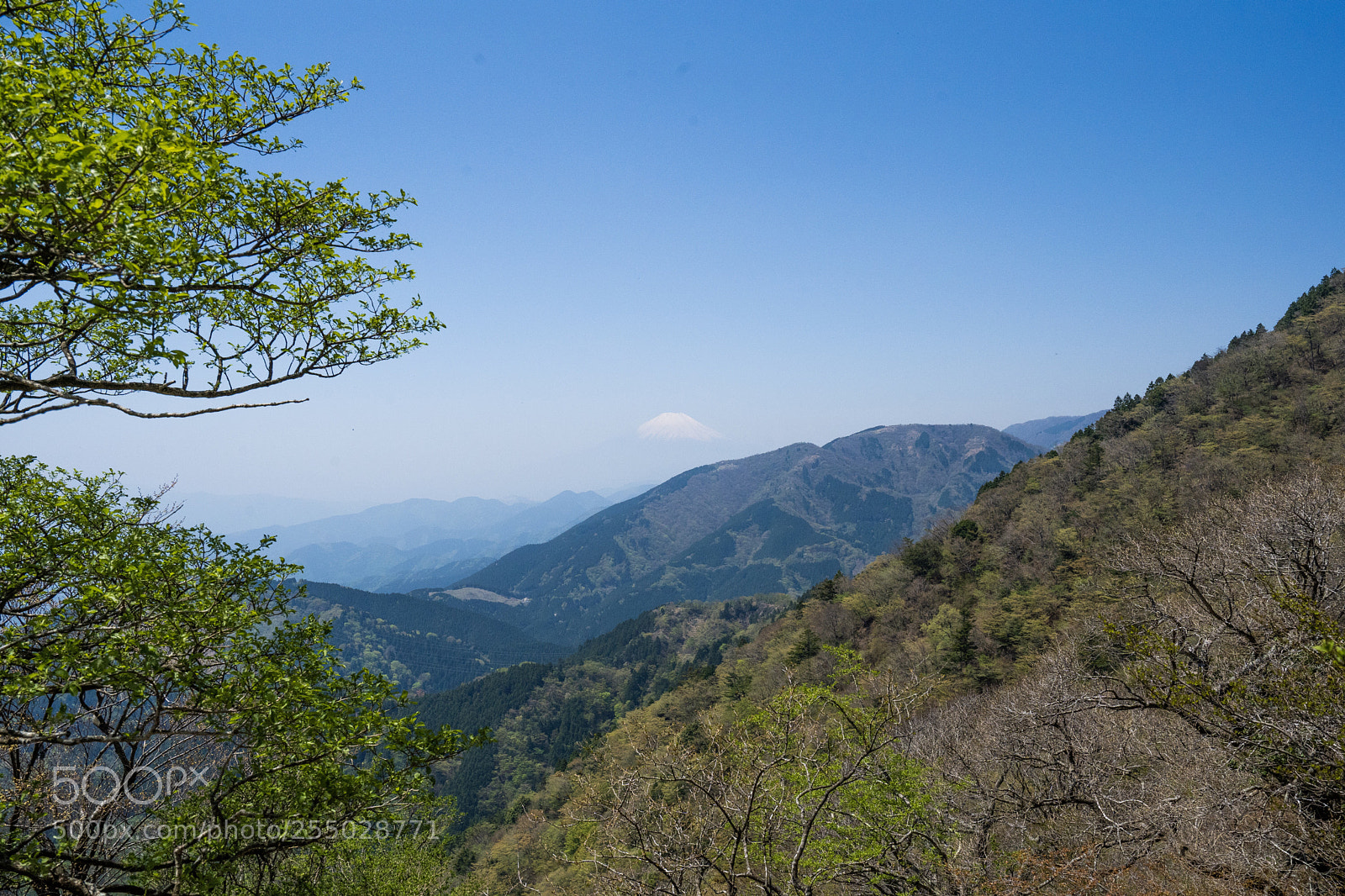 Sony a7 III sample photo. Floating fuji mountain in photography