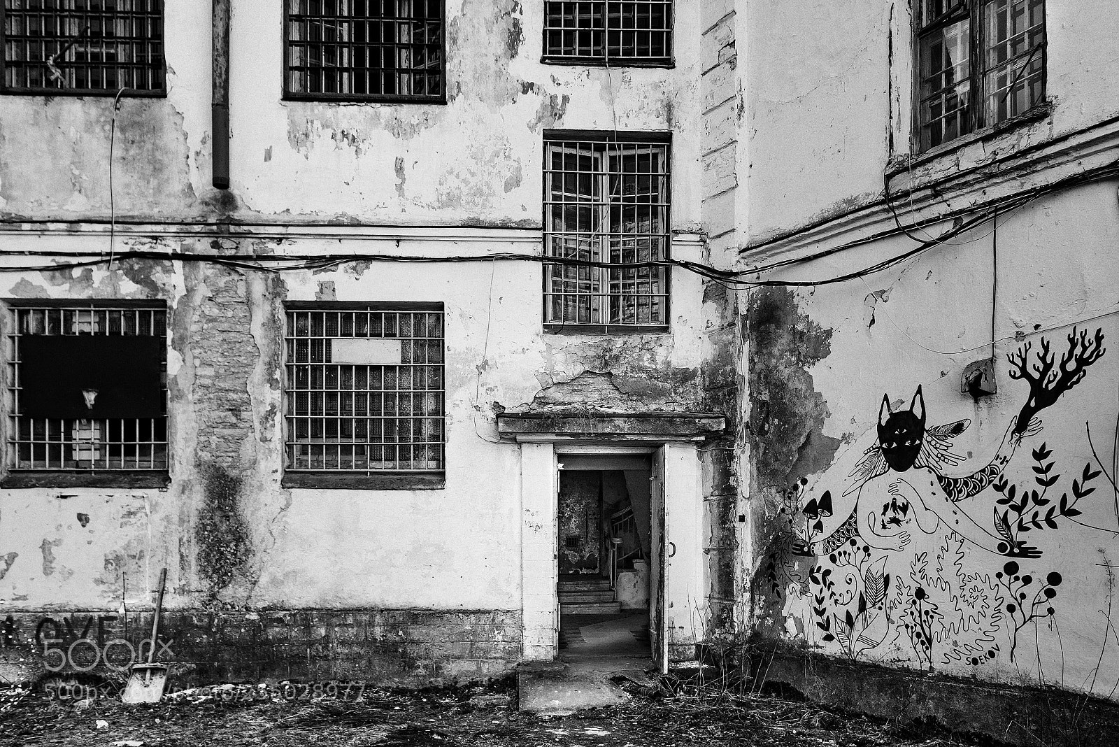 Nikon D810 sample photo. Untitled photography