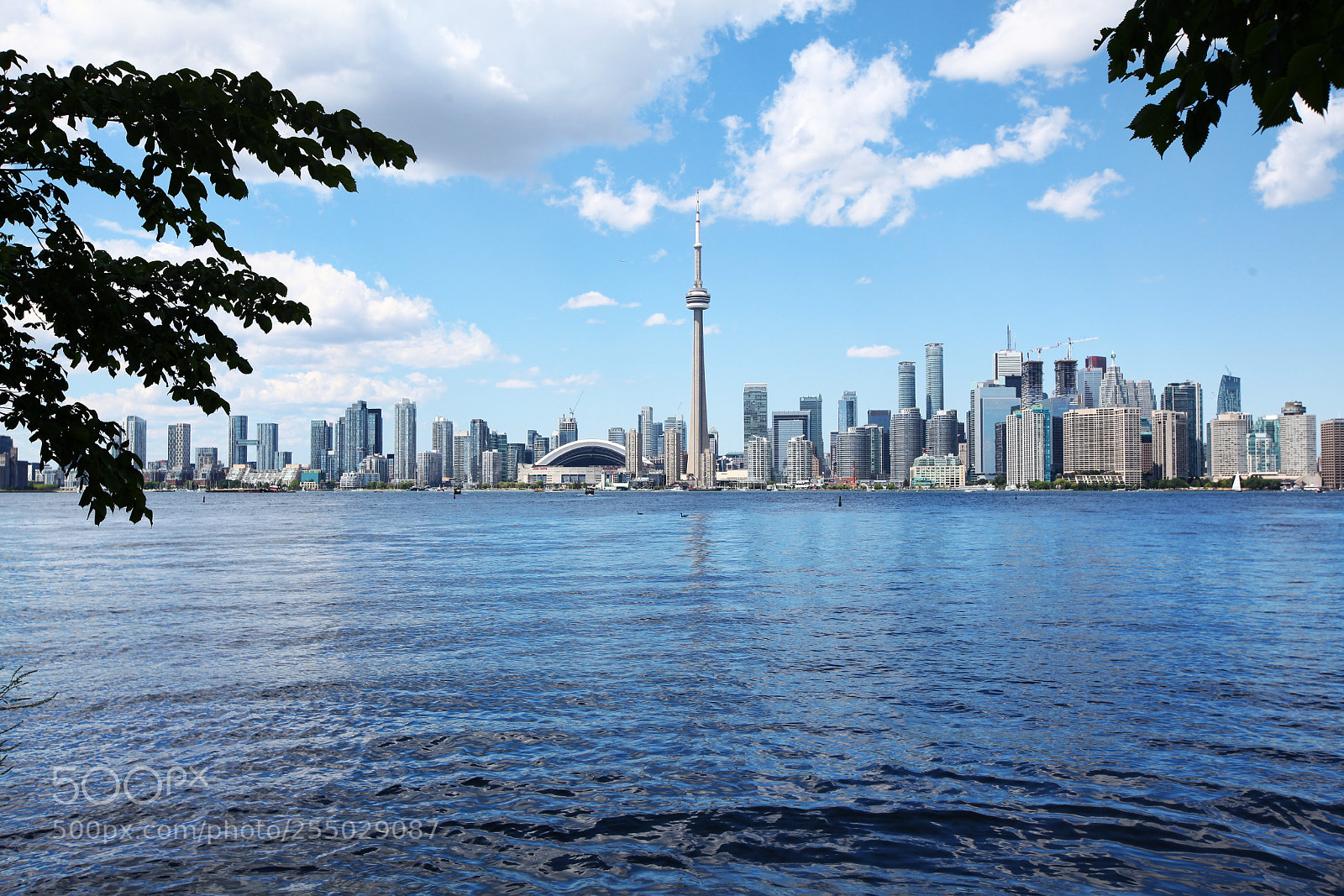 Canon EOS 5D Mark II sample photo. Stay strong toronto photography