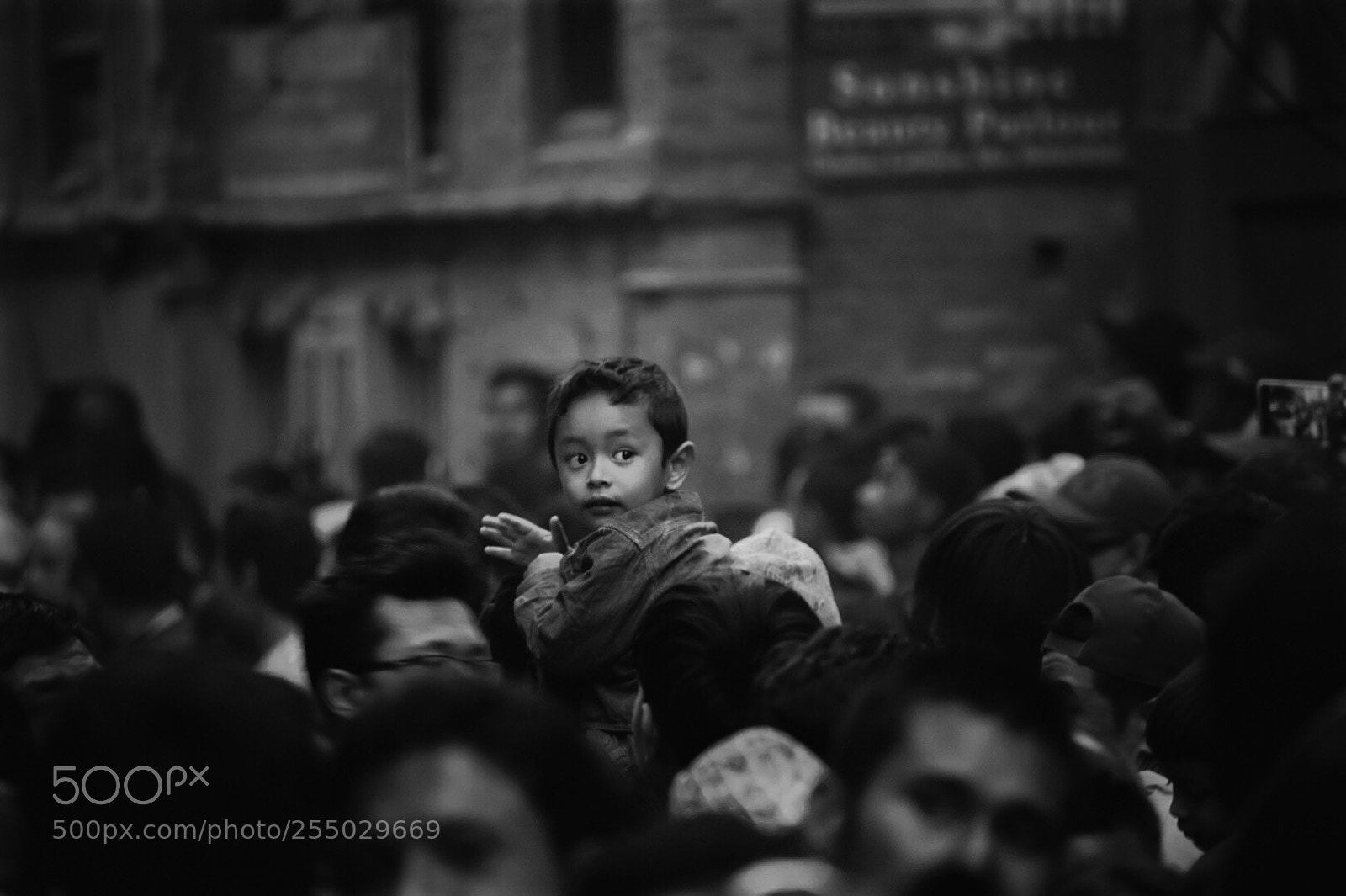 Nikon D5300 sample photo. Somewhere in the crowd.. photography