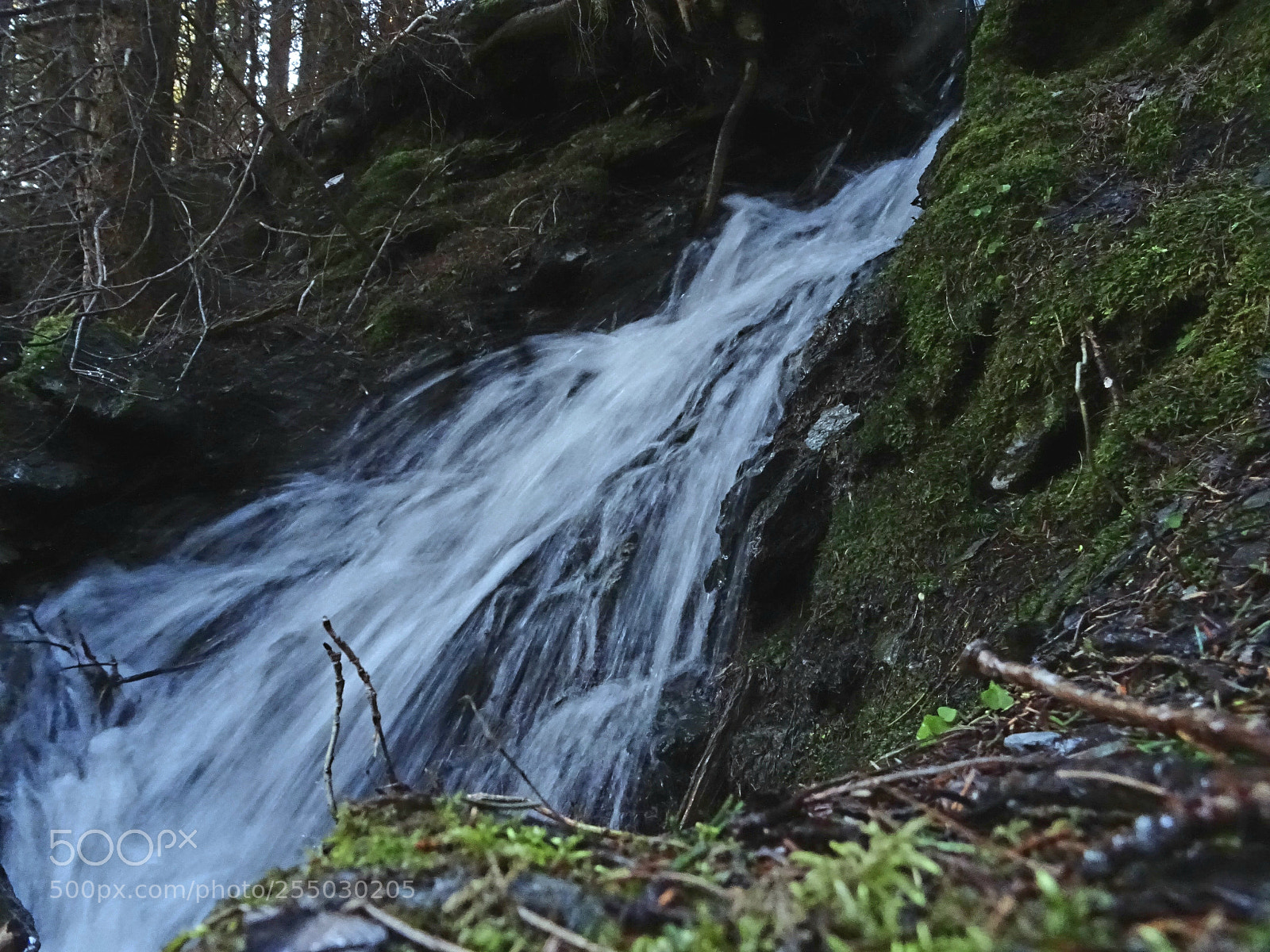 Sony DSC-HX60V sample photo. Der engel des wassers... photography