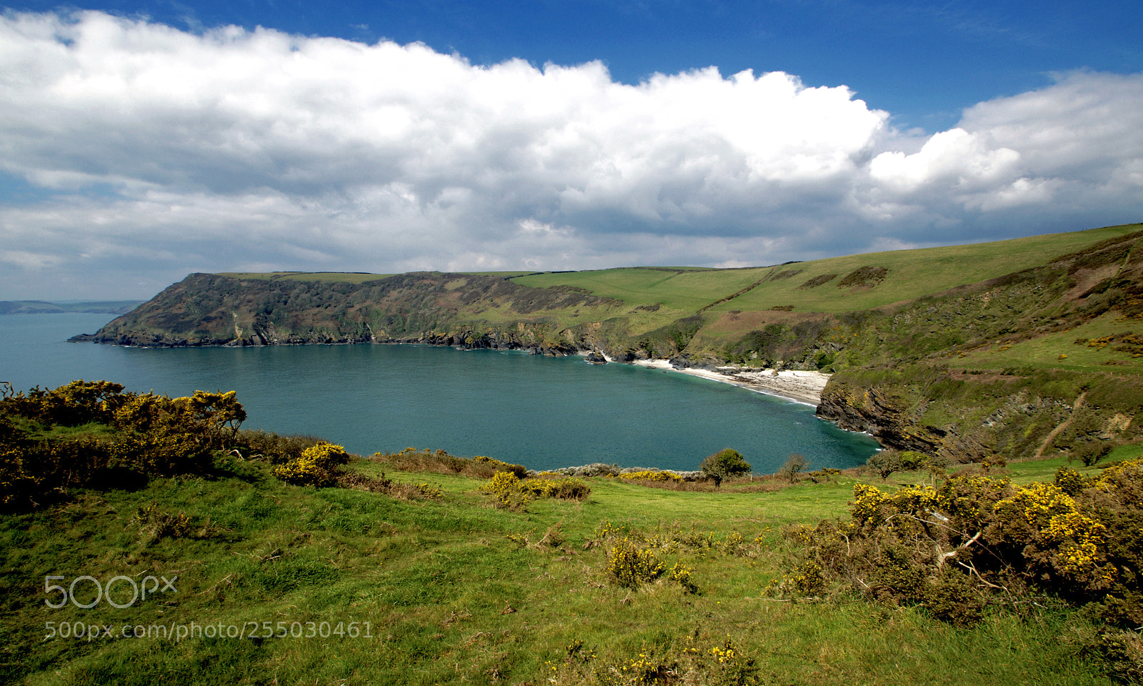 Nikon D3300 sample photo. Lantic bay photography