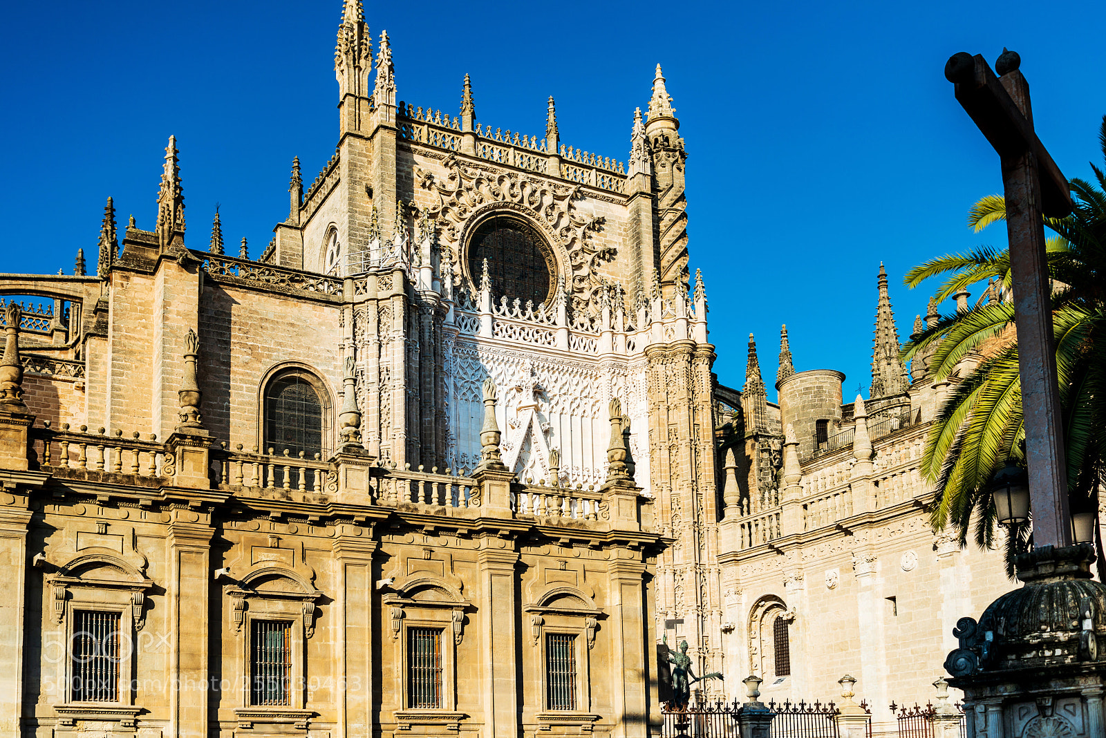 Nikon D800 sample photo. Seville cathedral in sevilla photography