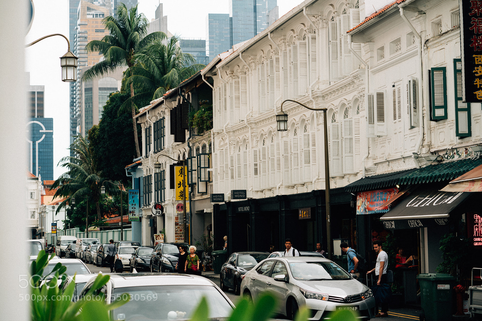 Sony a7R III sample photo. Dsc photography