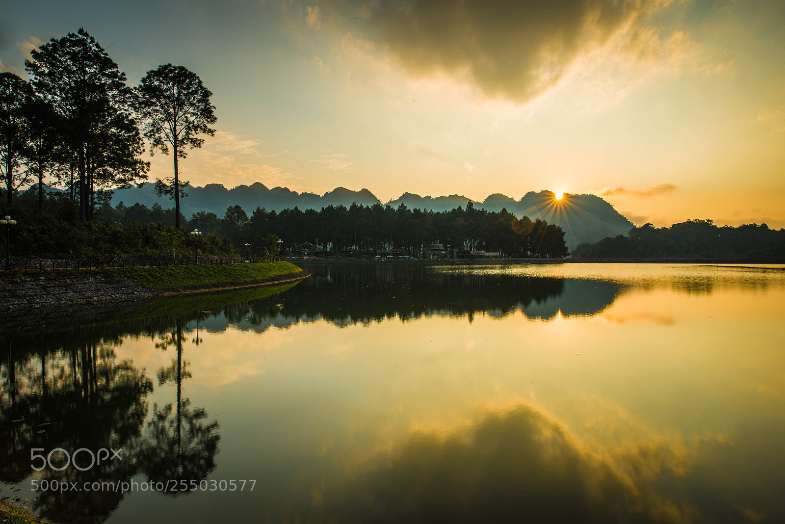 Nikon D800 sample photo. Reflection photography