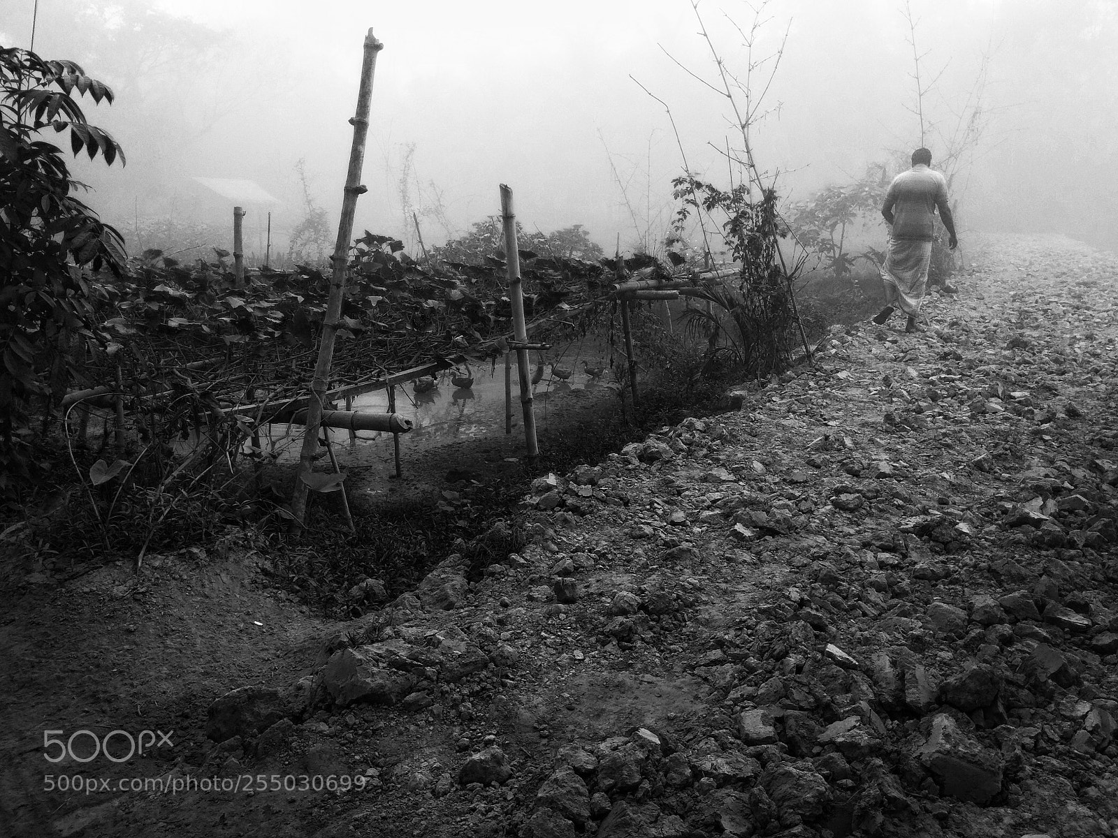 Xiaomi Redmi Note 4 sample photo. Alone in a rugged photography