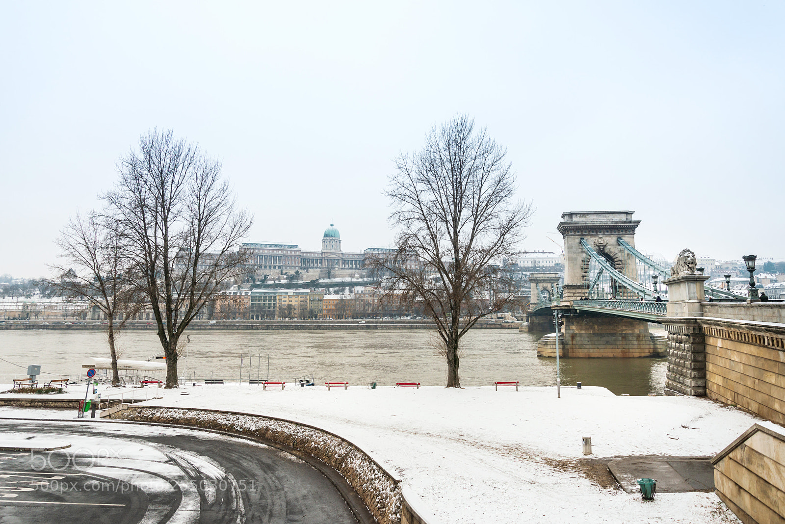 Nikon D800 sample photo. Szechenyi chain bridge in photography