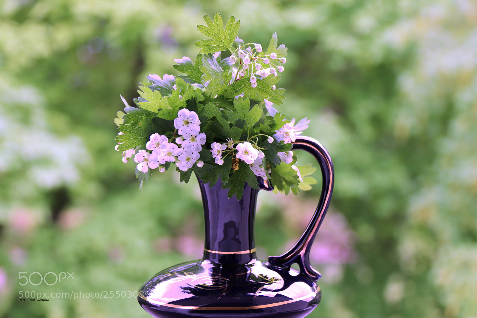 Canon EOS 800D (EOS Rebel T7i / EOS Kiss X9i) sample photo. Frühlingsblumen photography
