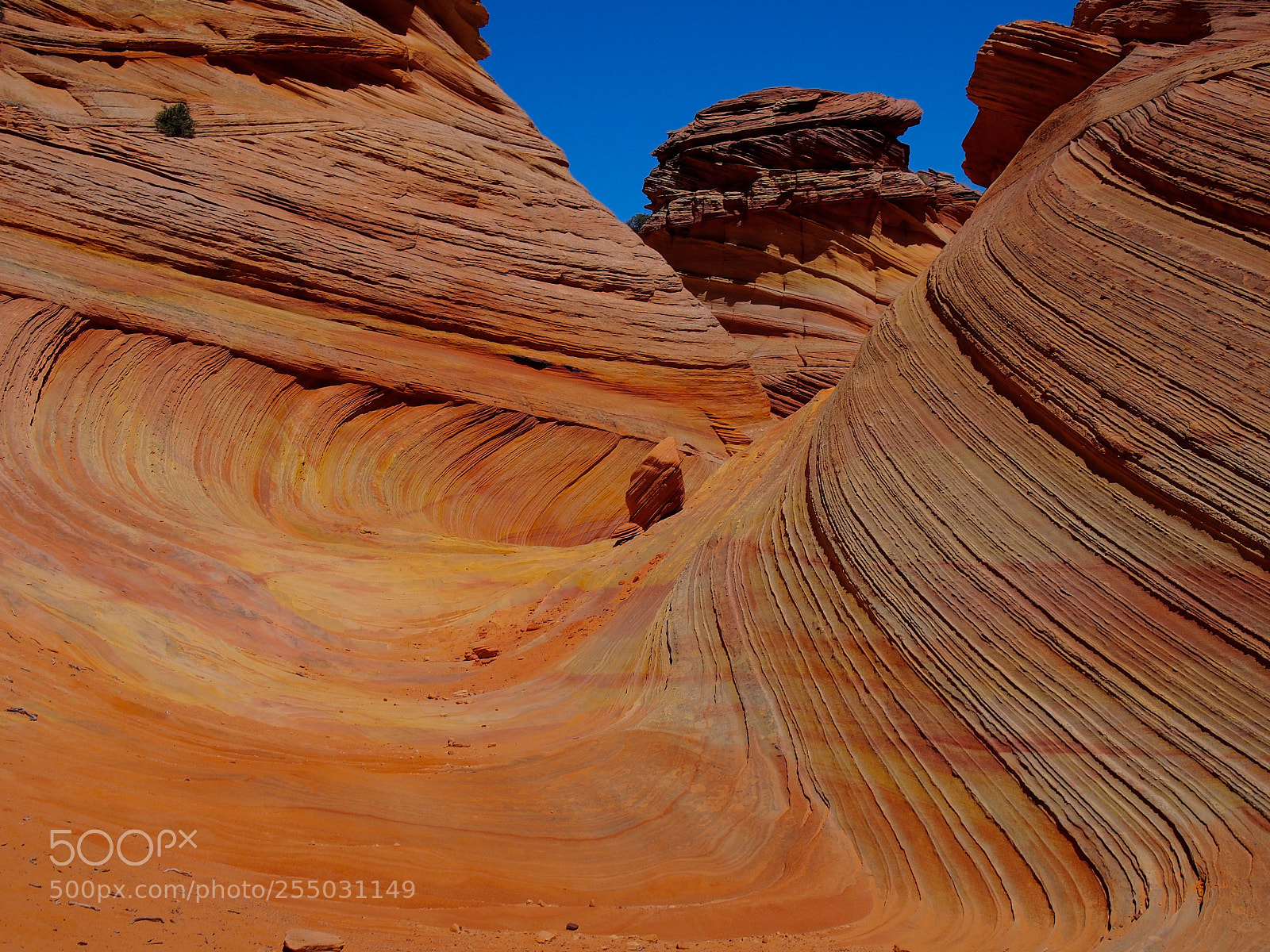 Olympus PEN E-PL6 sample photo. Arizona red rock photography