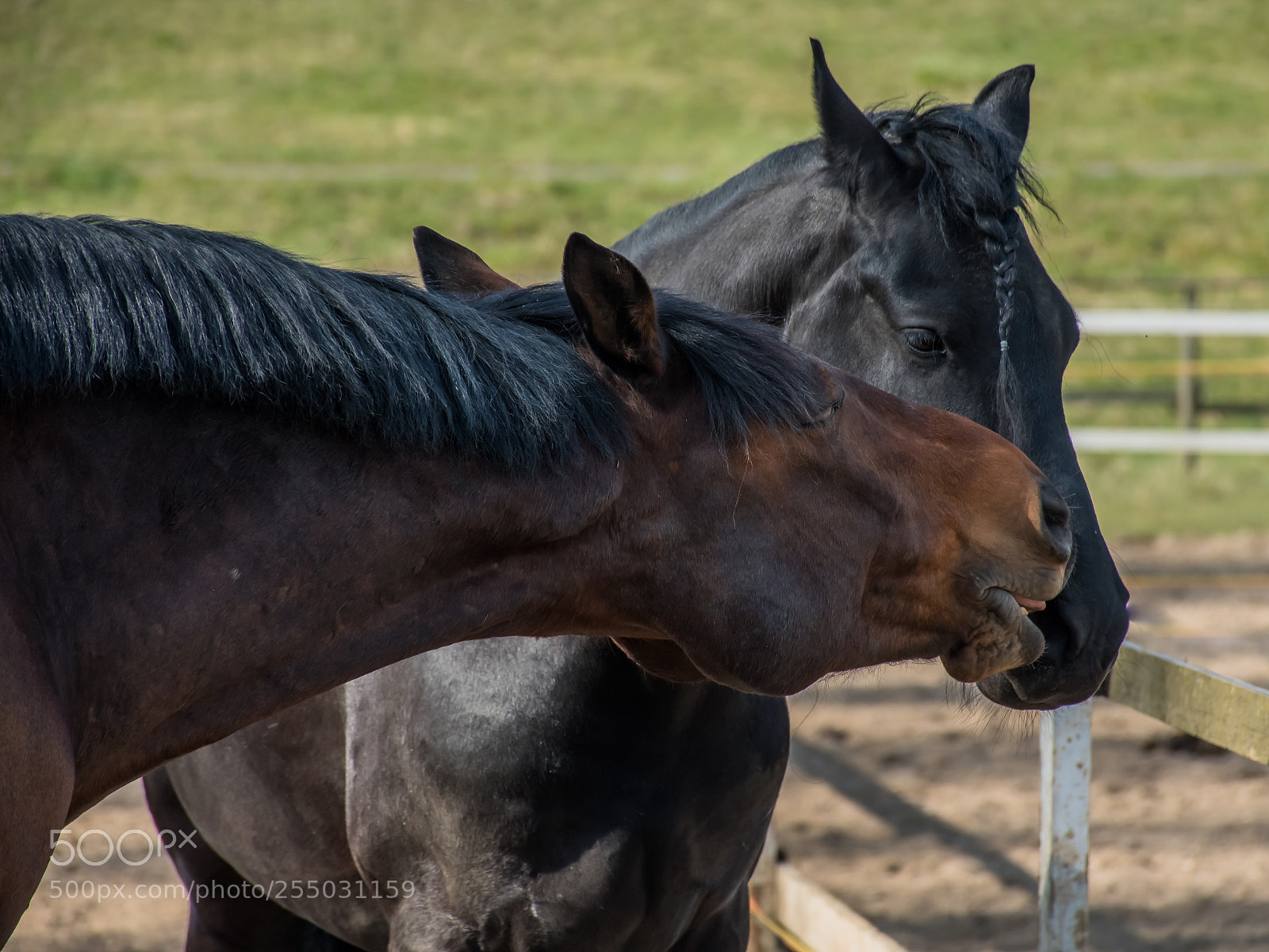Nikon D7500 sample photo. I really like you photography