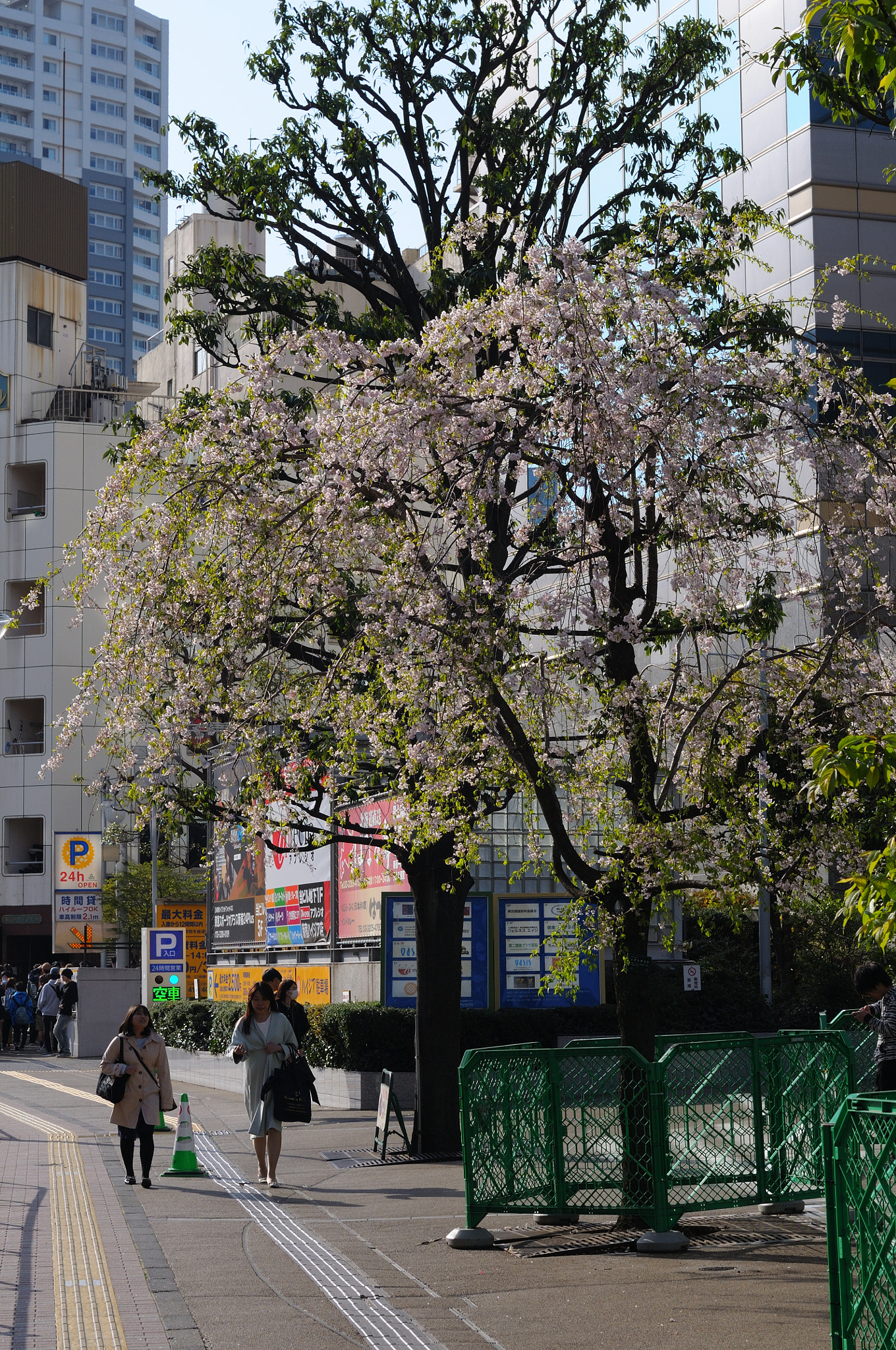 Nikon AF Nikkor 50mm F1.4D sample photo. Shinjuku, tokyo photography