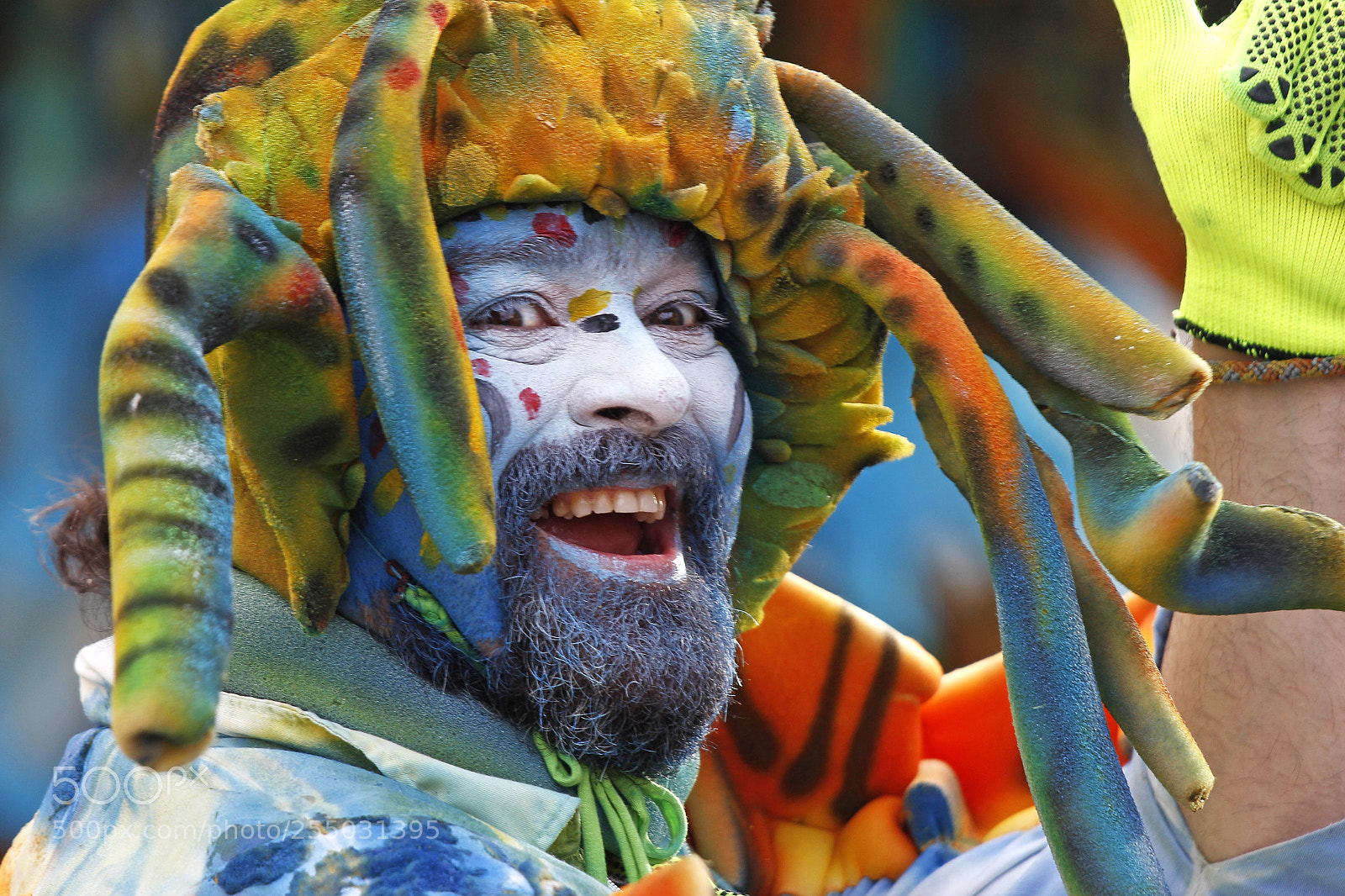Canon EOS 700D (EOS Rebel T5i / EOS Kiss X7i) sample photo. Carnival of mealhada vii photography