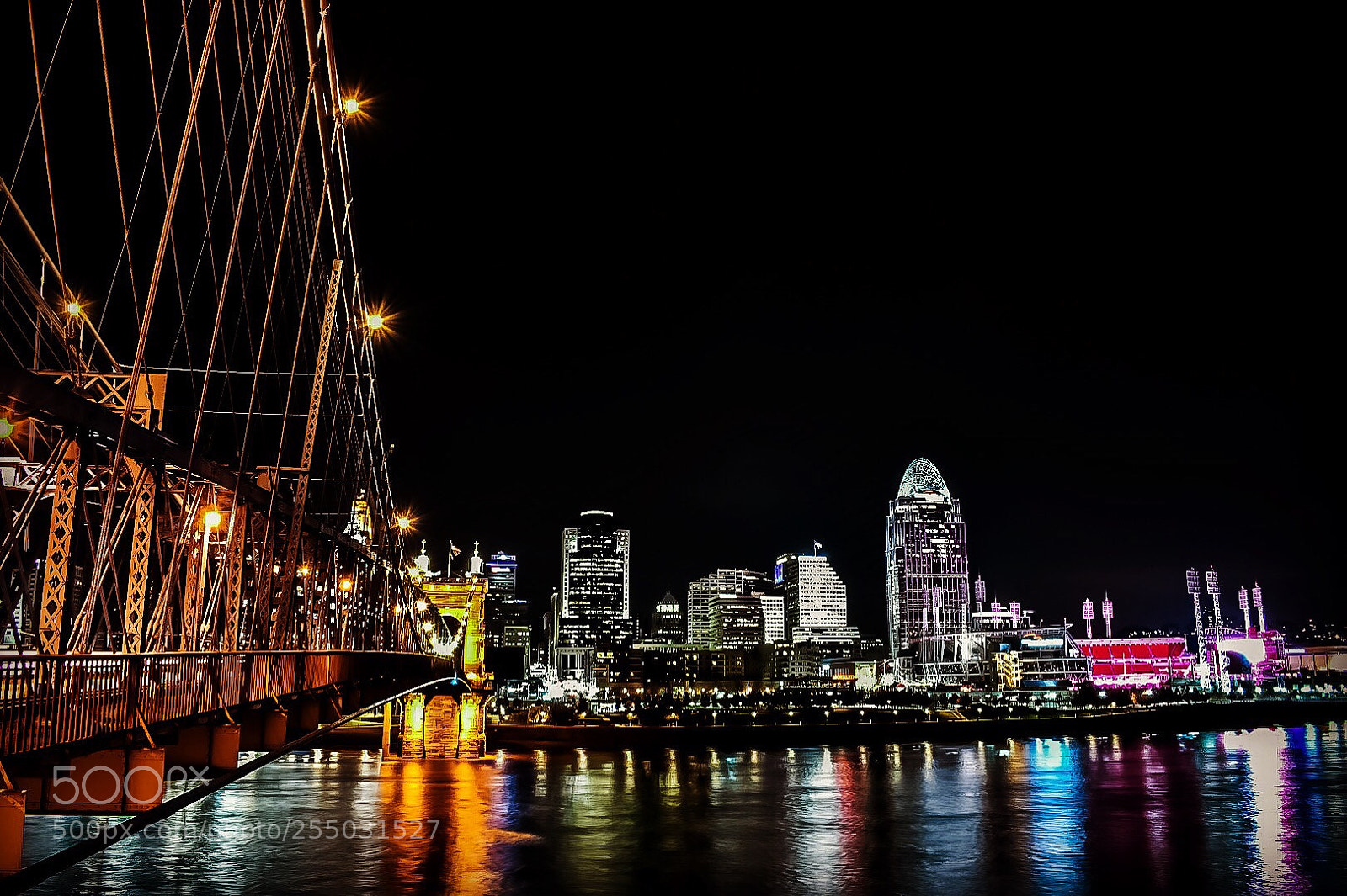 Nikon D5600 sample photo. Untitled photography