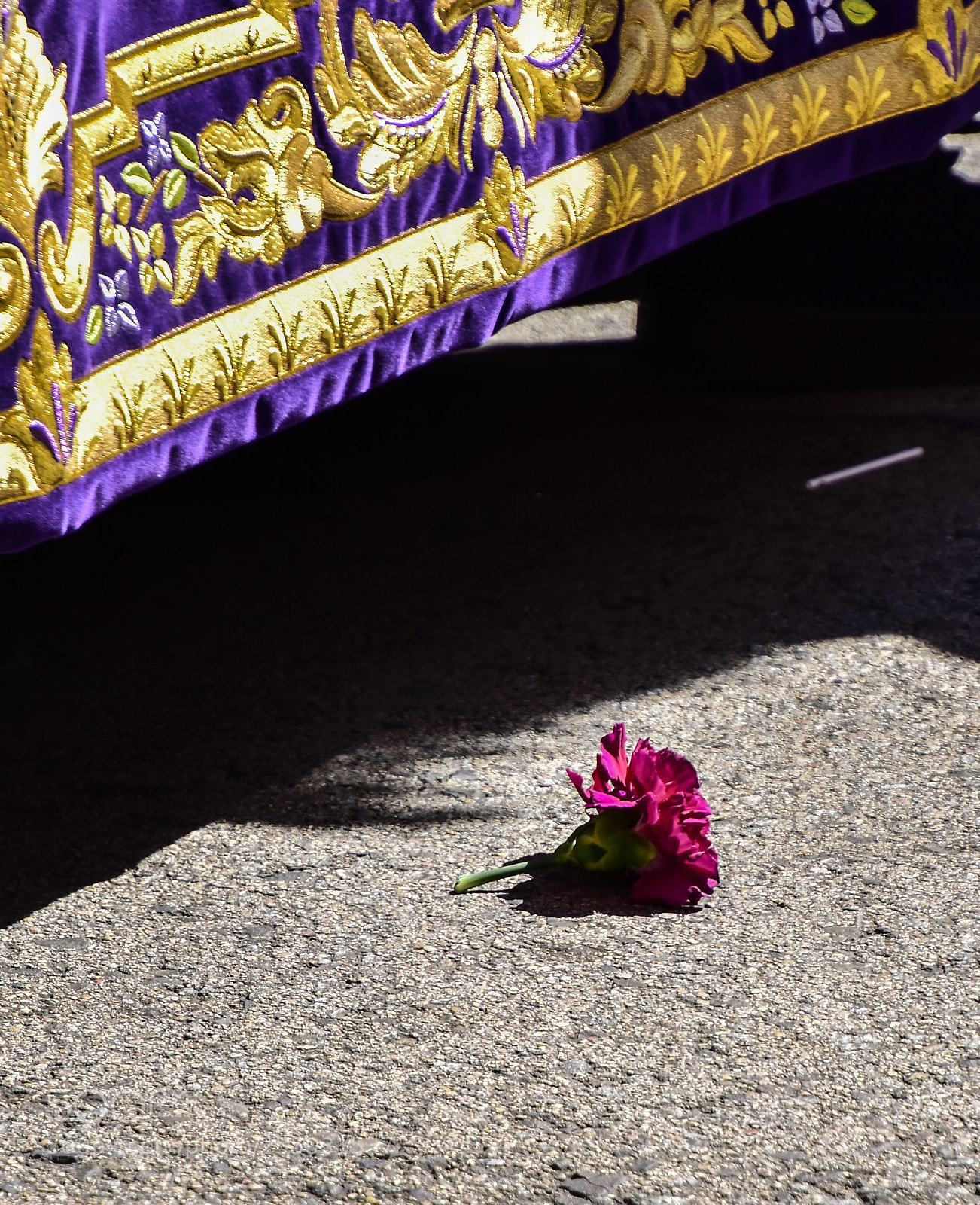 Nikon D7200 sample photo. Flor caida del paso photography