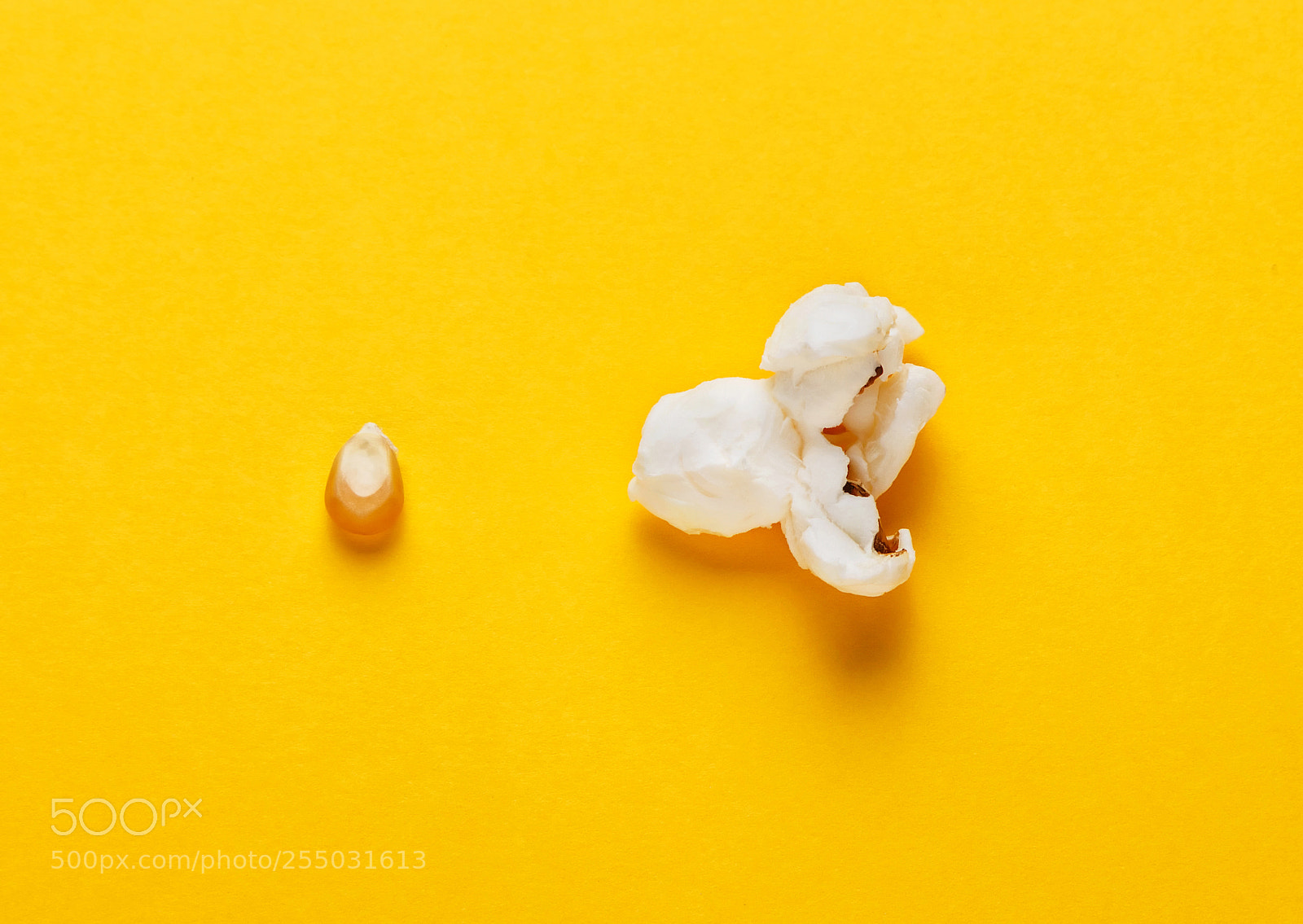 Canon EOS 700D (EOS Rebel T5i / EOS Kiss X7i) sample photo. Corn grain and popcorn. photography