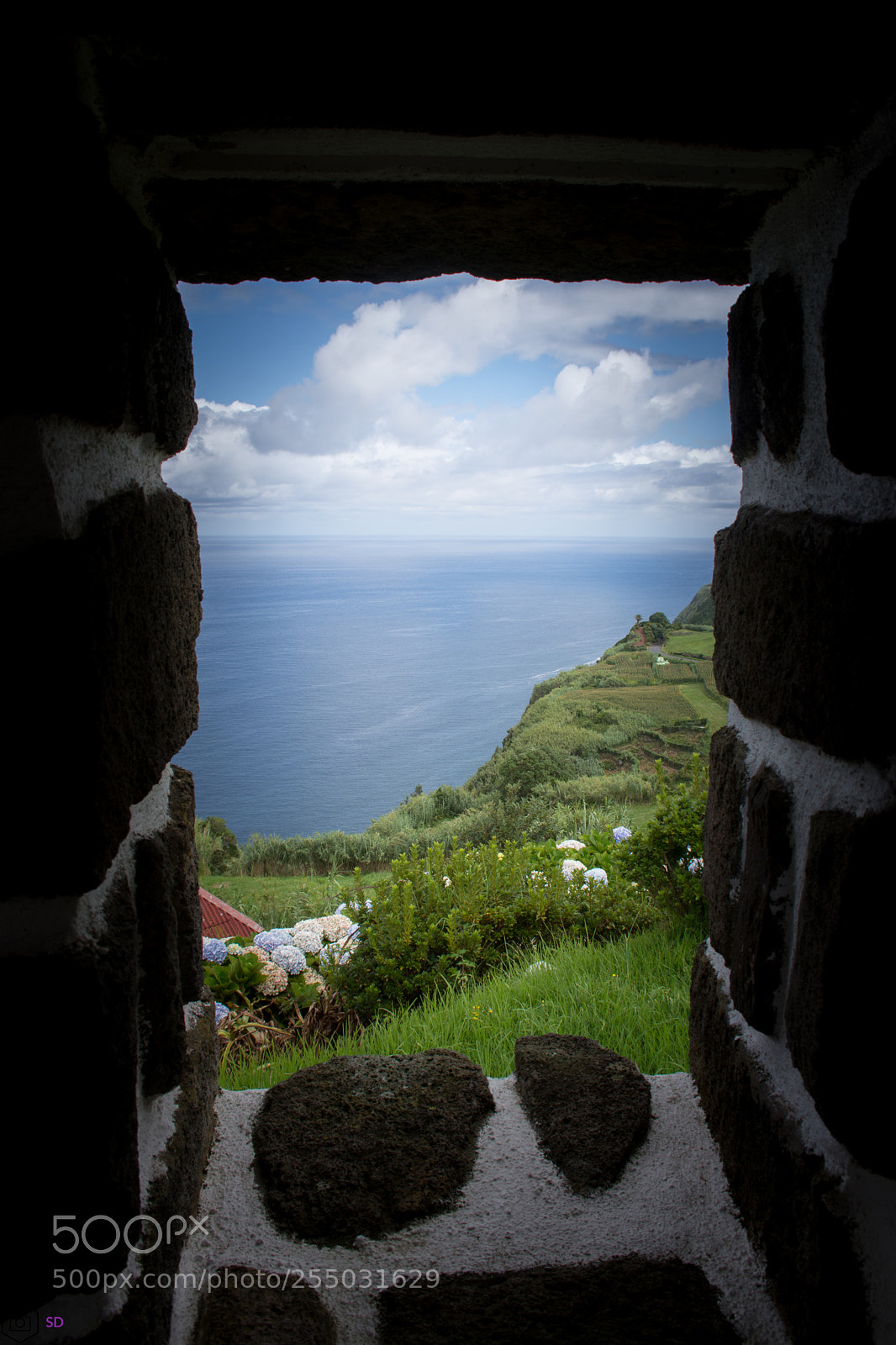Nikon D7200 sample photo. Azorean miradoru photography