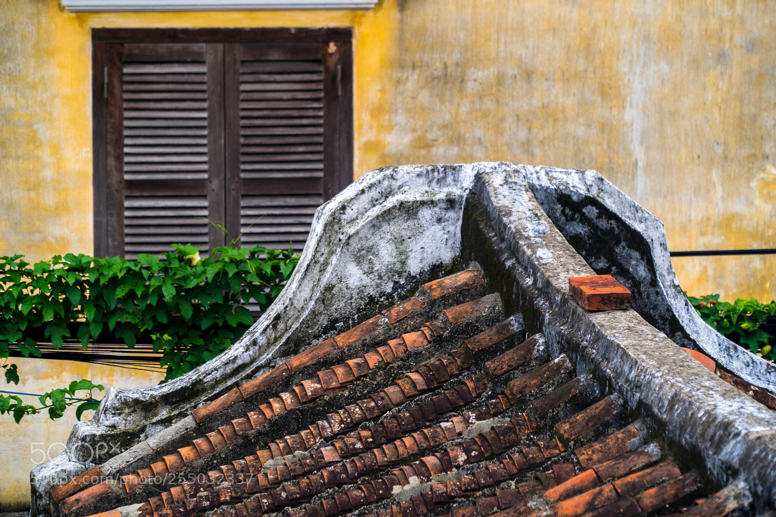Sony a6500 sample photo. A photography