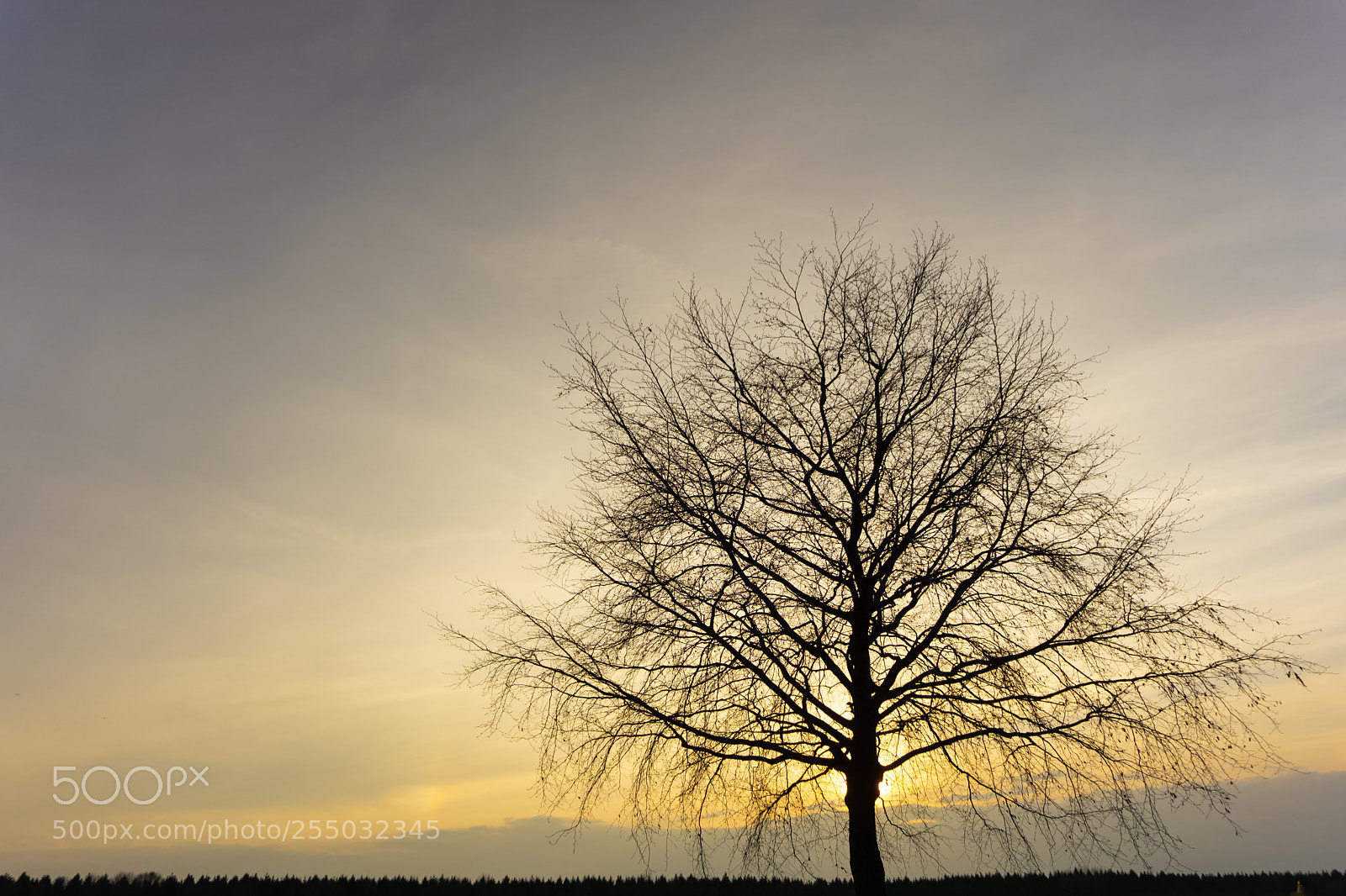 Sony a6000 sample photo. Sonnenuntergang in dünsen photography