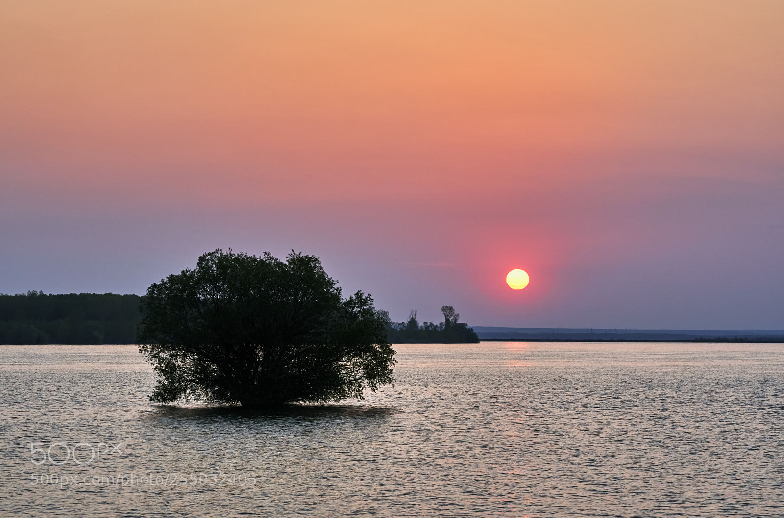 Sony a9 sample photo. 12123.jpg photography