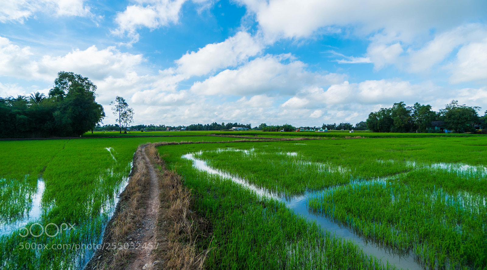 Sony a6500 sample photo. A photography