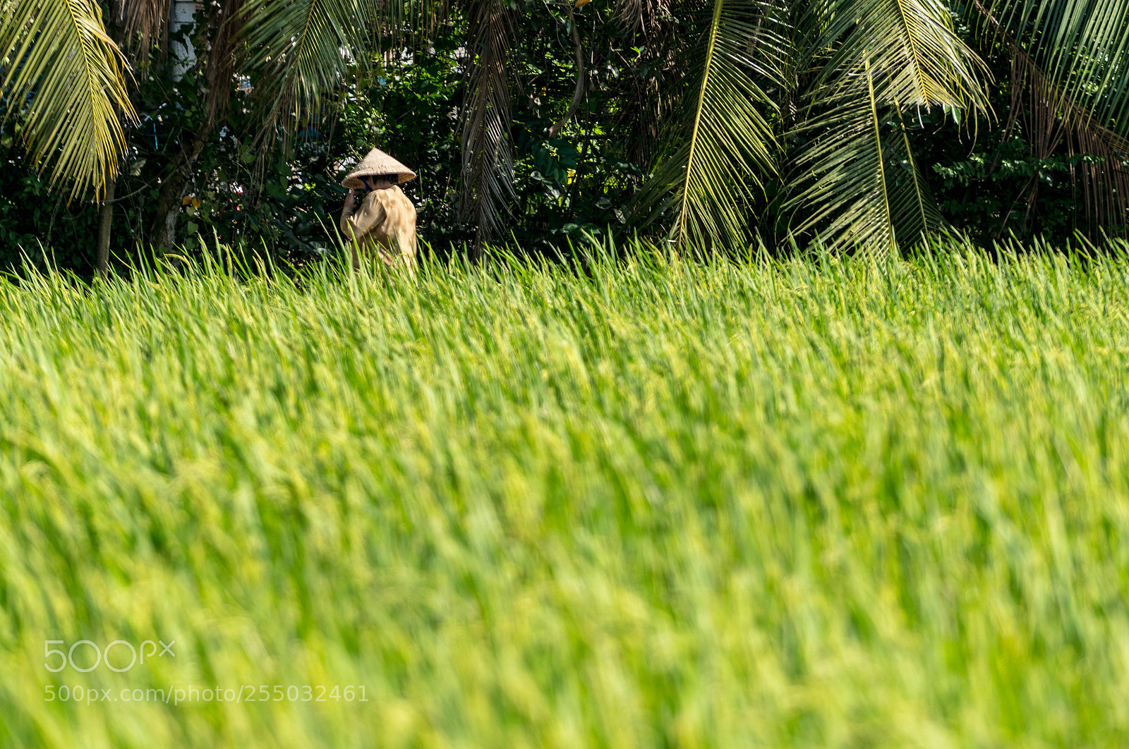 Sony a6500 sample photo. A photography