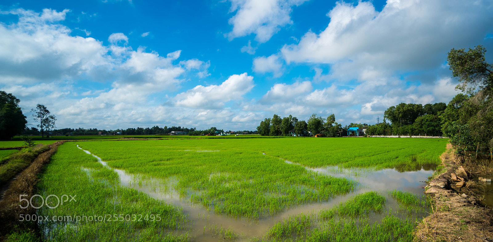 Sony a6500 sample photo. A photography