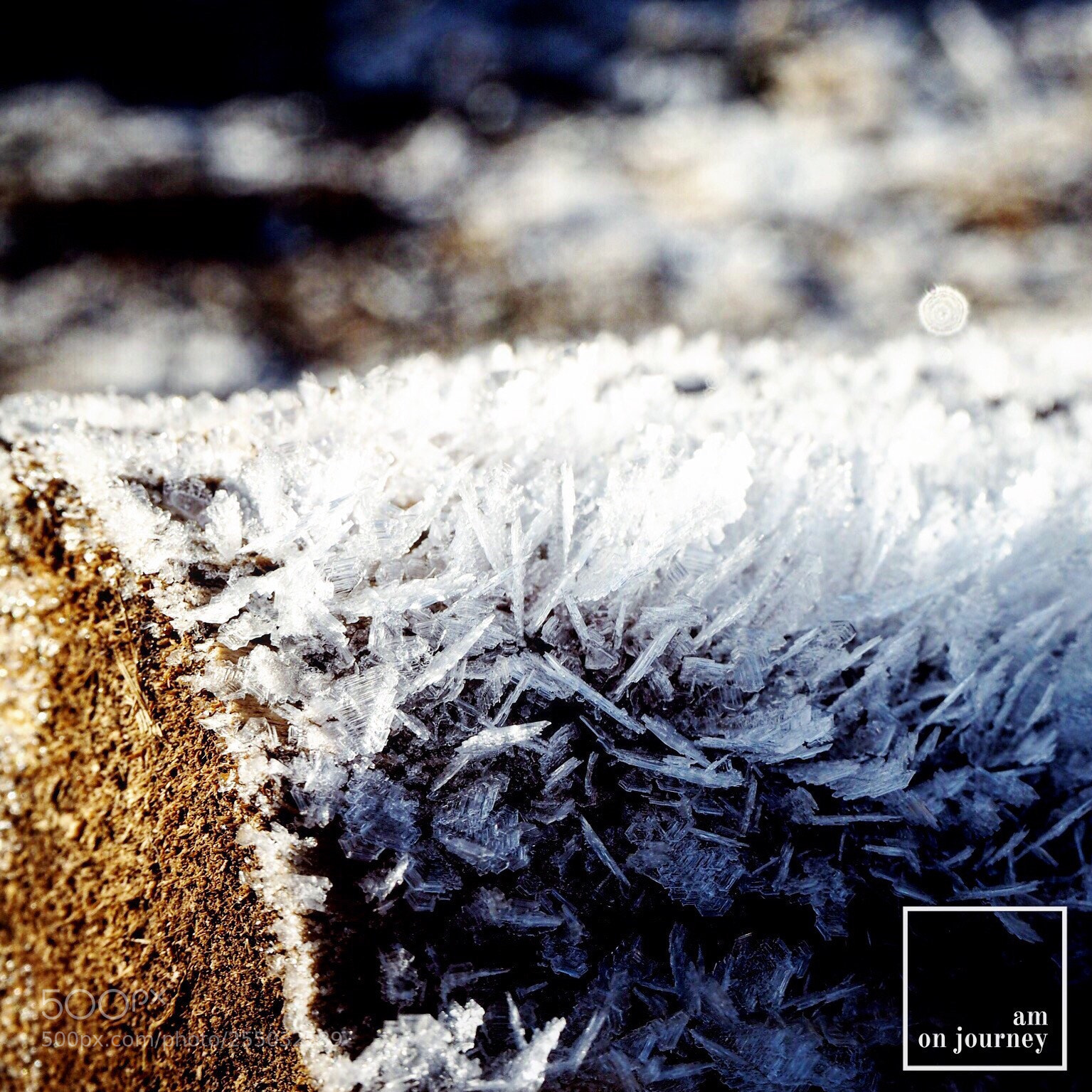 Olympus OM-D E-M10 sample photo. Polish winter photography