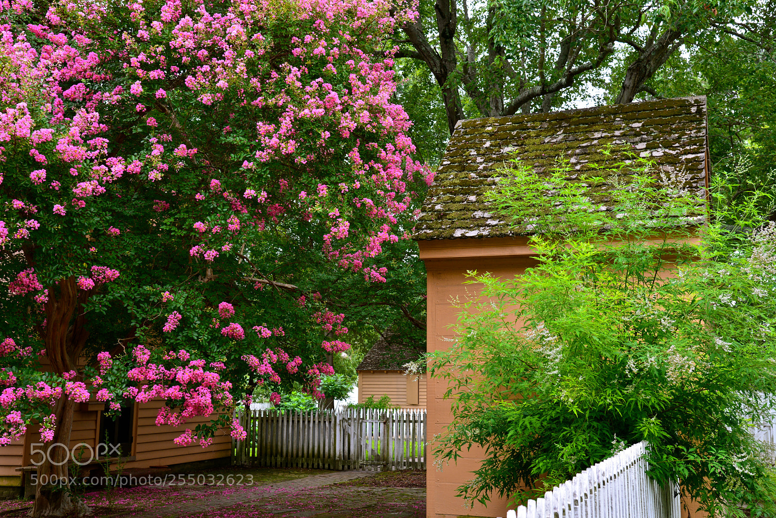 Nikon D600 sample photo. Country walk photography